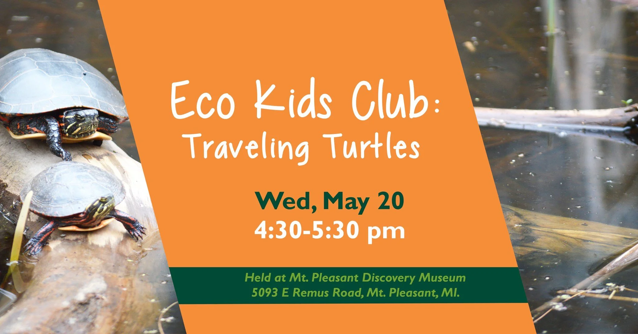 Eco-Kids: Traveling Turtles