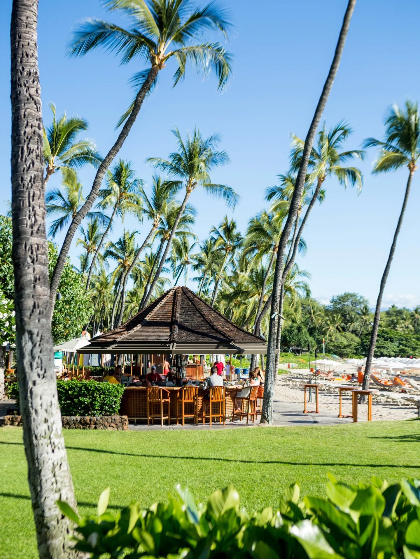 Hawaii is a long flight for most travelers, so it is worth spending time to choose the island that fits the kind of trip you actually want. Not all of them offer the same experience. Here&rsquo;s what you need to know about the top four spots:

Oahu 