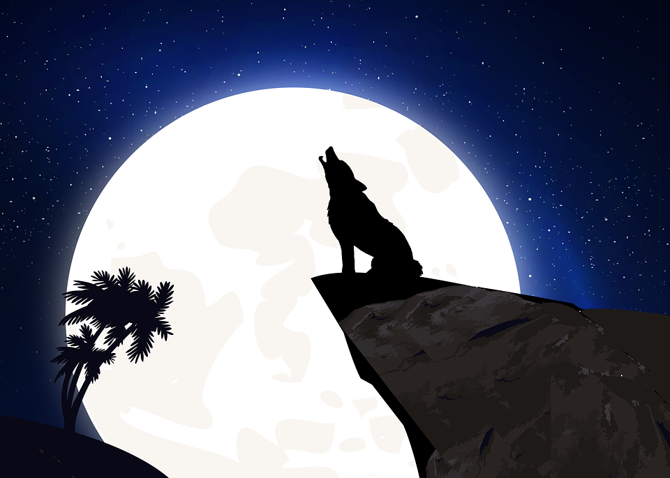 howl-2753258_960_720.png