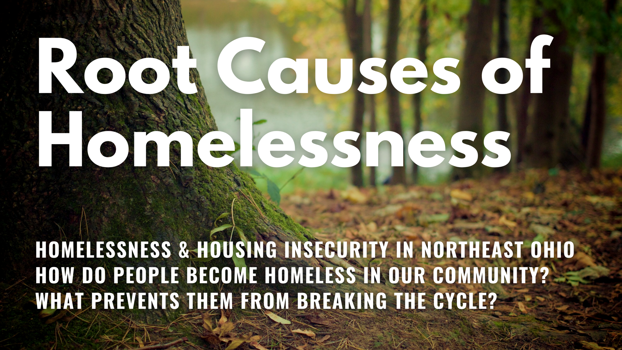 Thursdays, May 13th and 20th from 7-9PM on zoom