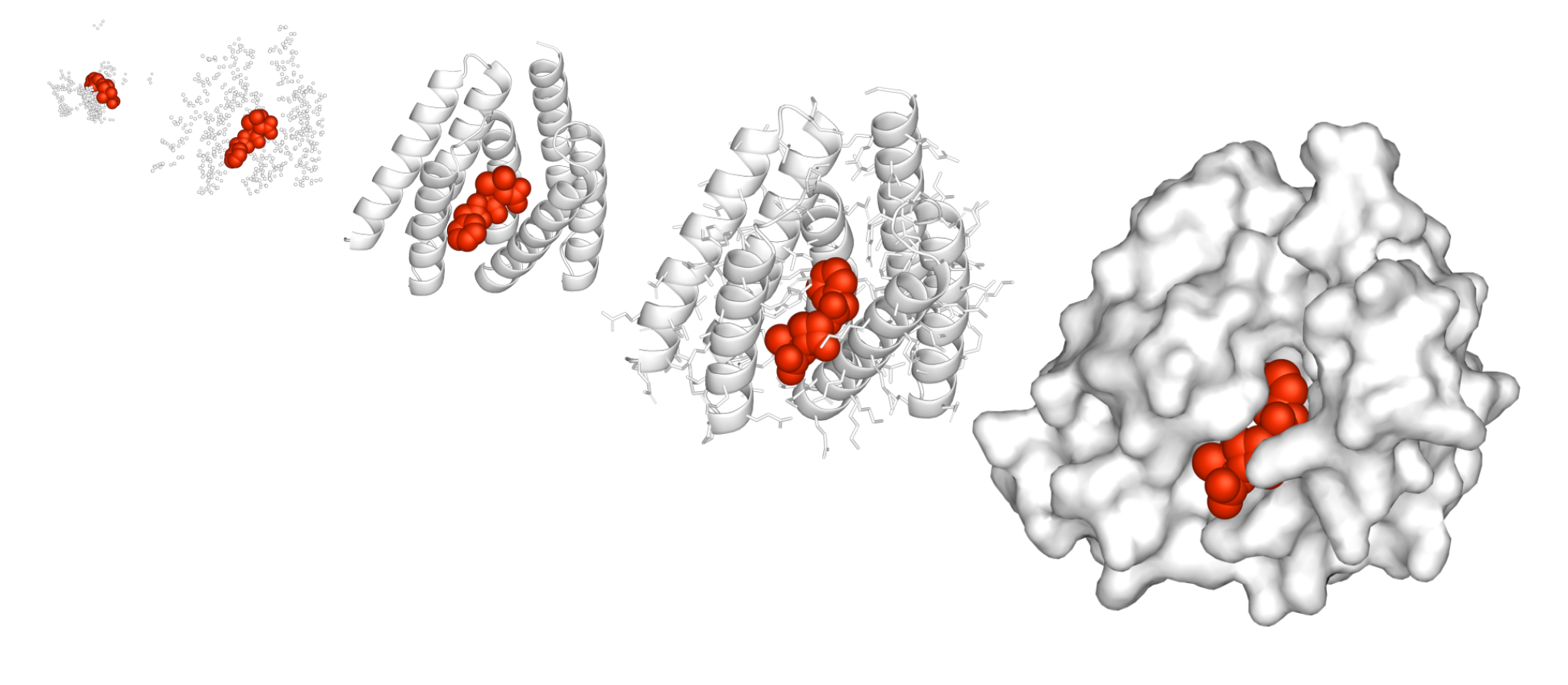 Sequence illustration of a protein maturation process: initial small molecule cluster, various intermediate structures, and final complex, with red spheres indicating active sites.