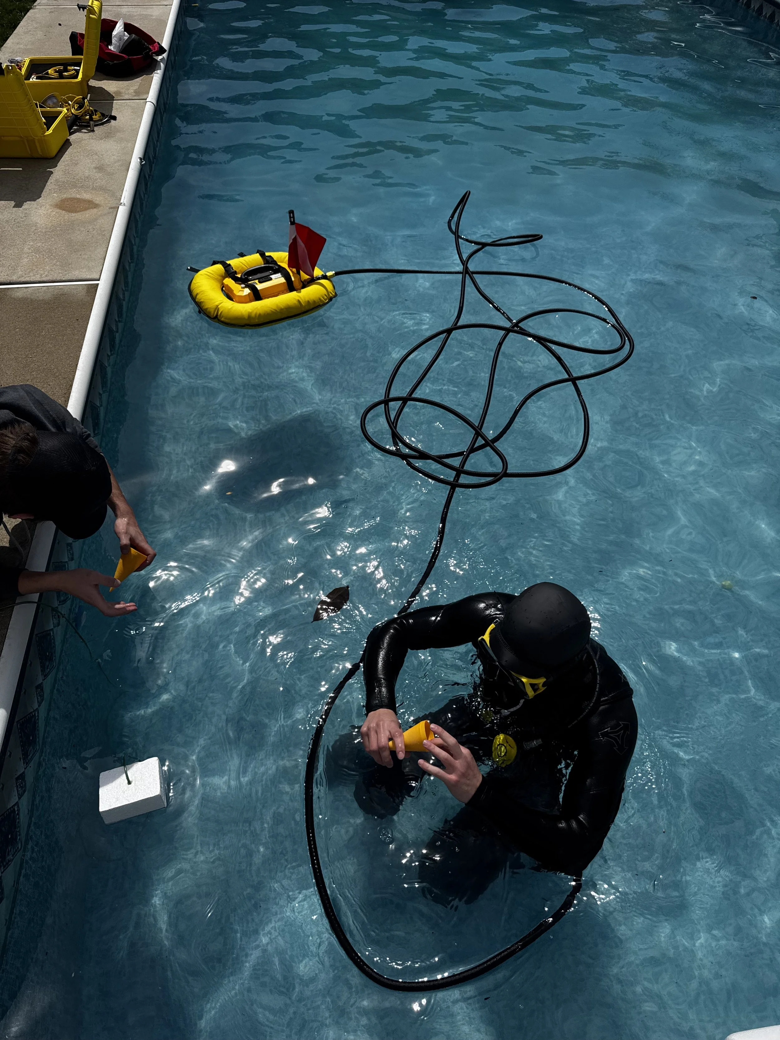 A diver in black wetsuit and yellow mask holding a yellow tool in a swimming pool, with a tangle of black hoses, a yellow flotation device with a red flag, and various tools on the pool deck.