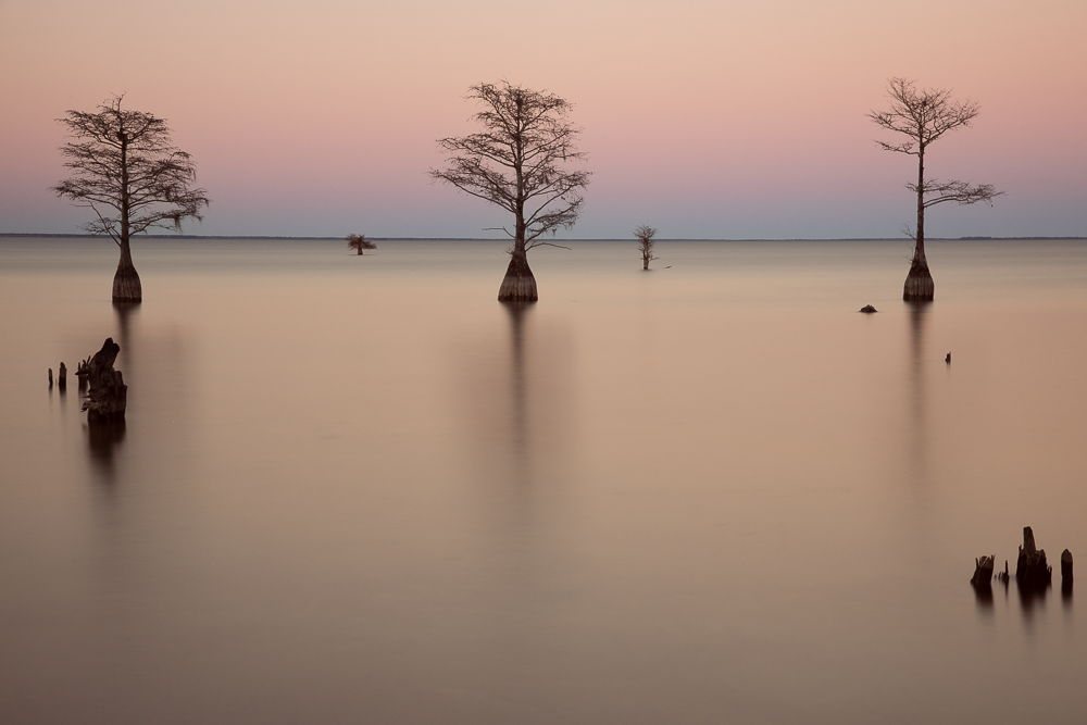 A serene lake at sunset with five leafless trees partially submerged in water, and some broken tree remains in the foreground, under a pastel pink and purple sky. Photography Classes in Charleston SC. Camera Classes in Charleston SC