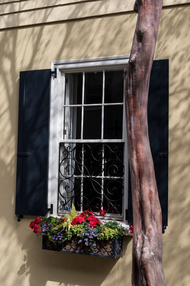 A window with black shutters and a decorative wrought iron security grille, a flower box with colorful flowers, and a tree trunk growing next to the window. Photography Classes in Charleston SC. Camera Classes in Charleston SC