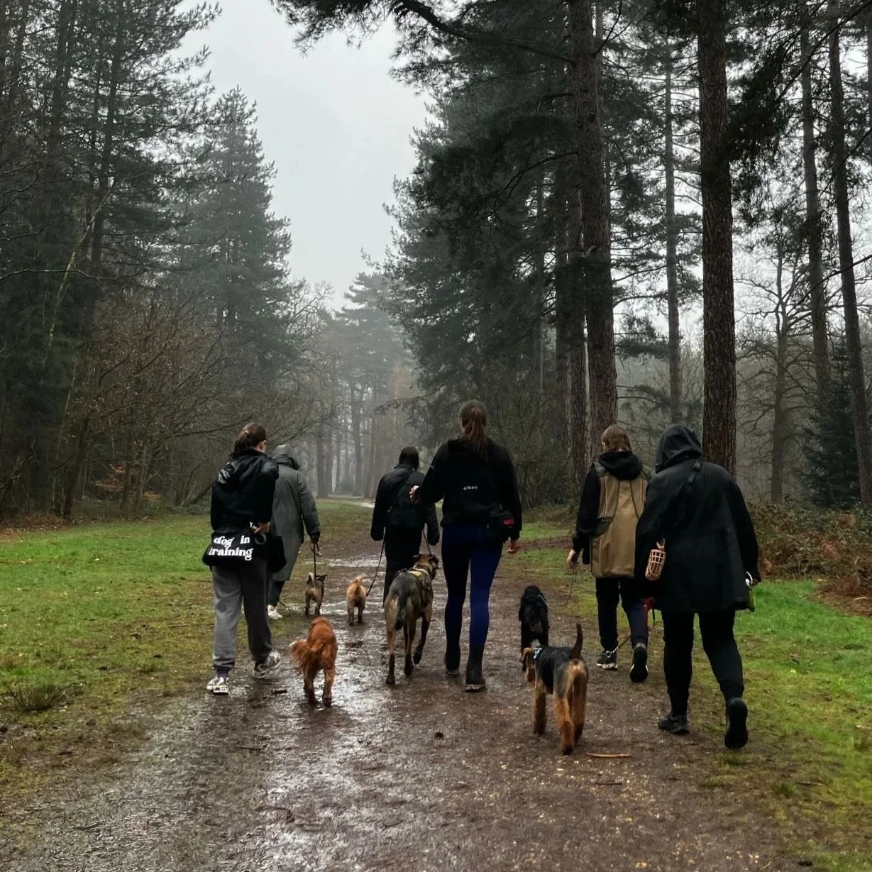 FREE Monthly neutrality pack walks