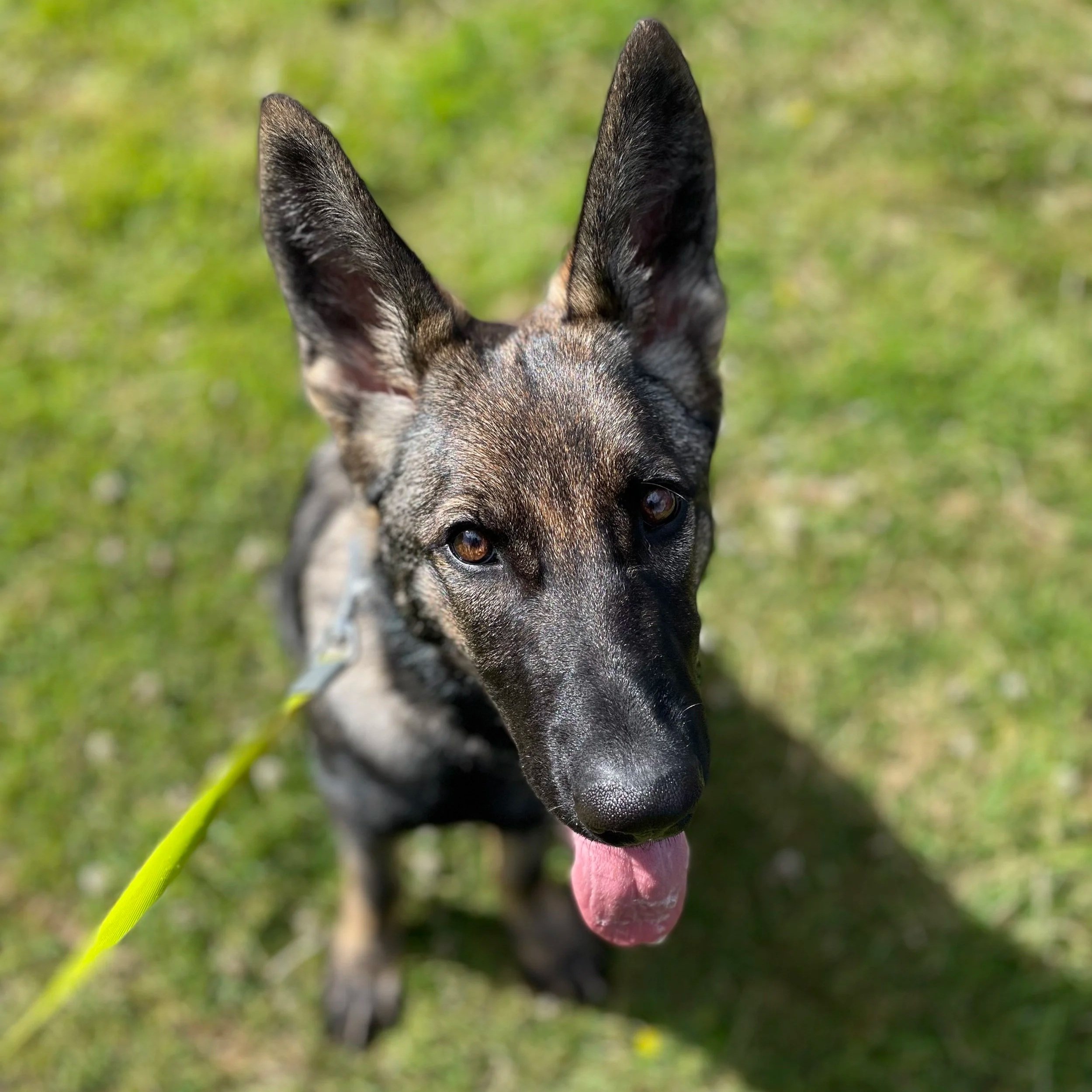 Solo structured training walks