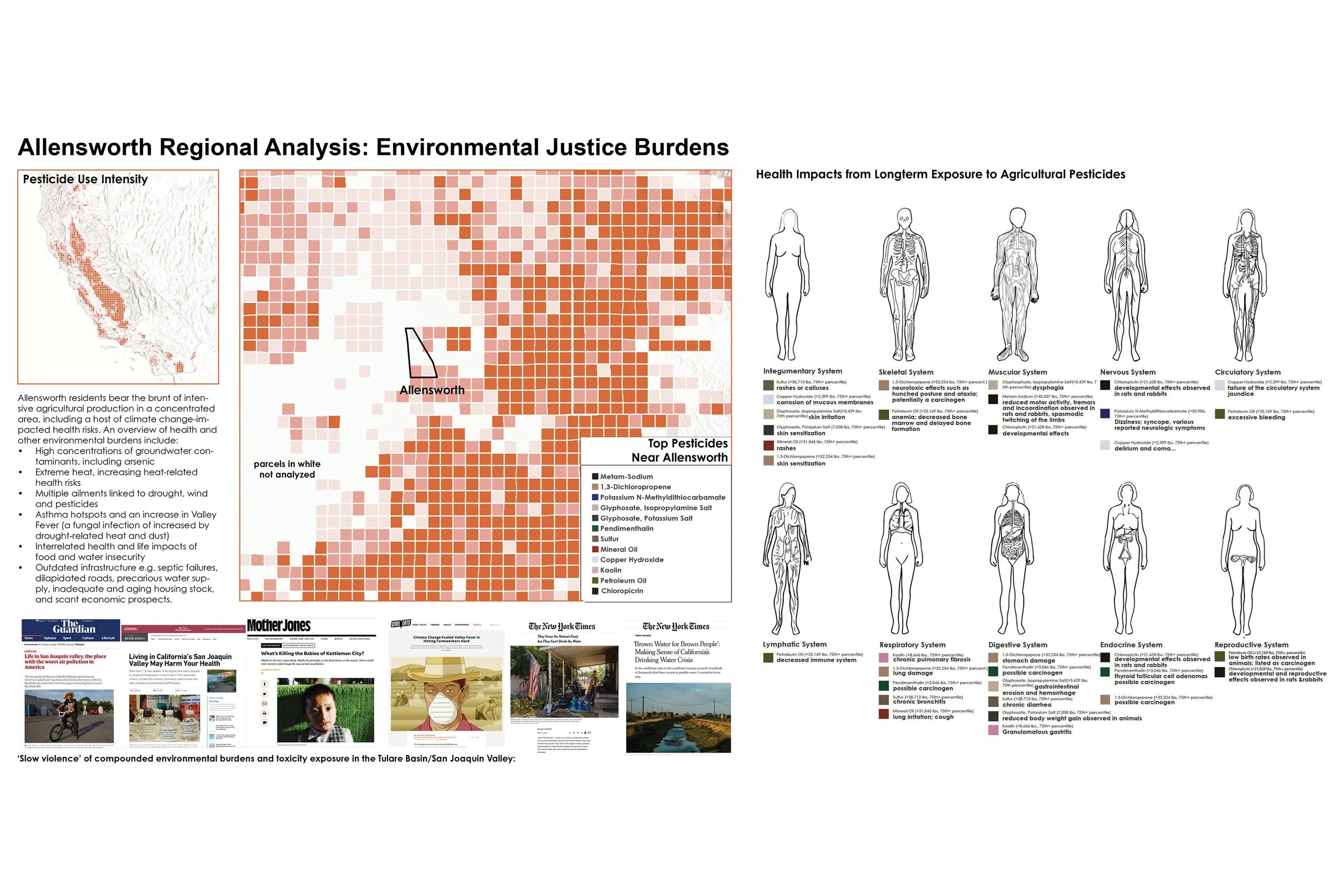Slides-Final9-alt-web.jpg