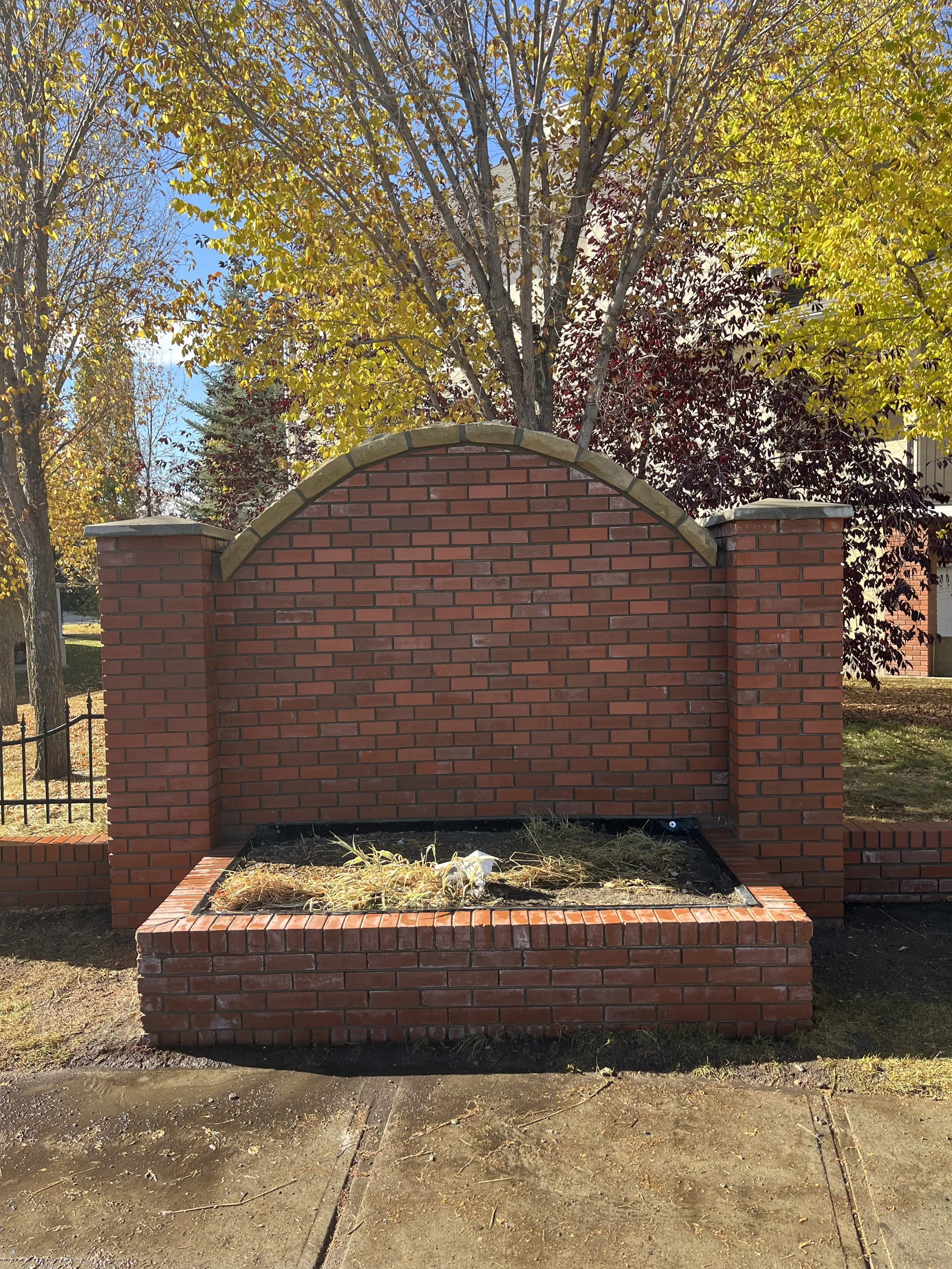 Empty brick planter box with some dried plants and debris, located under a large tree with autumn-colored leaves.