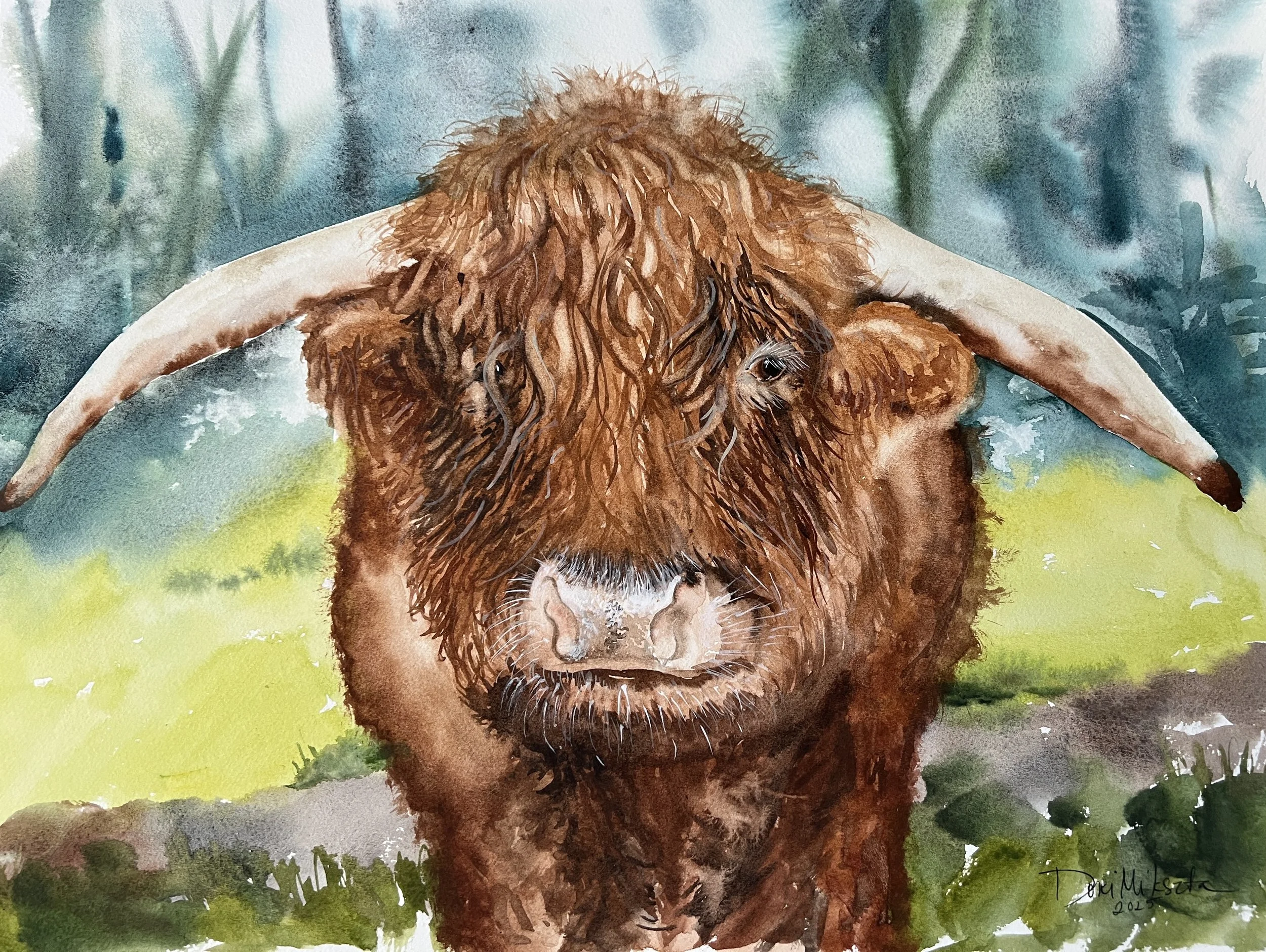 Hairy Coo