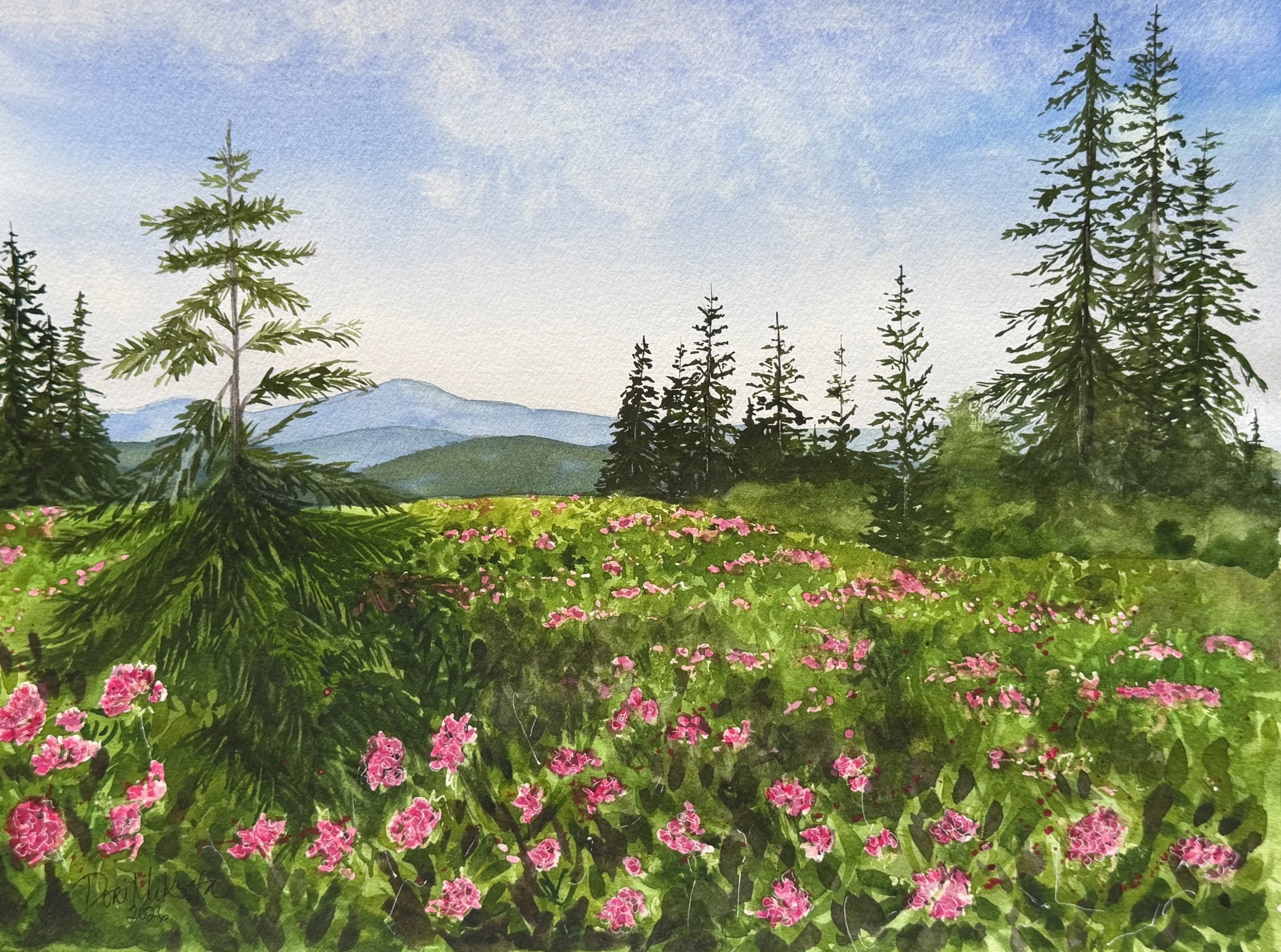 Roan's Rhododendron