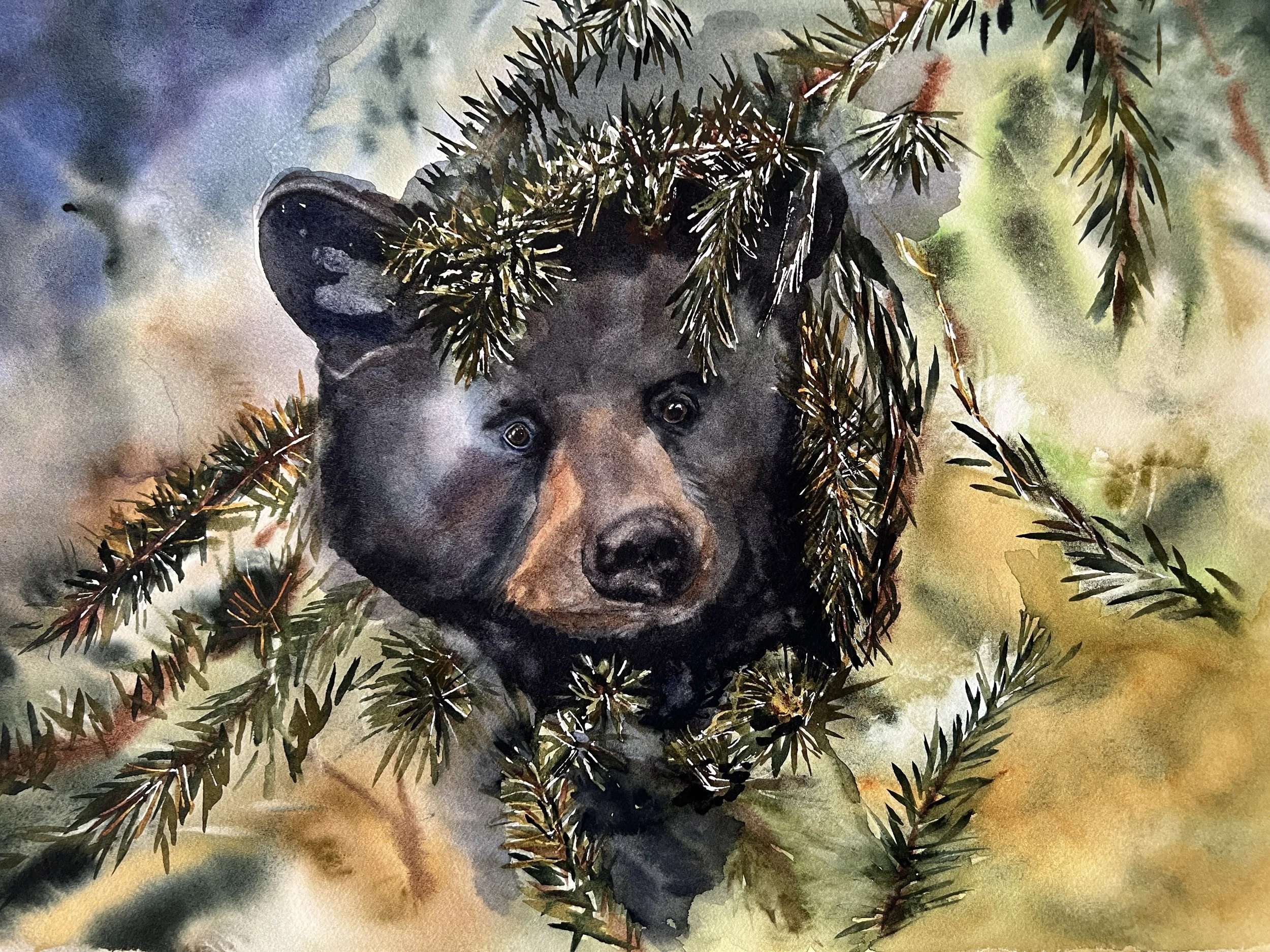 Bear in Tree