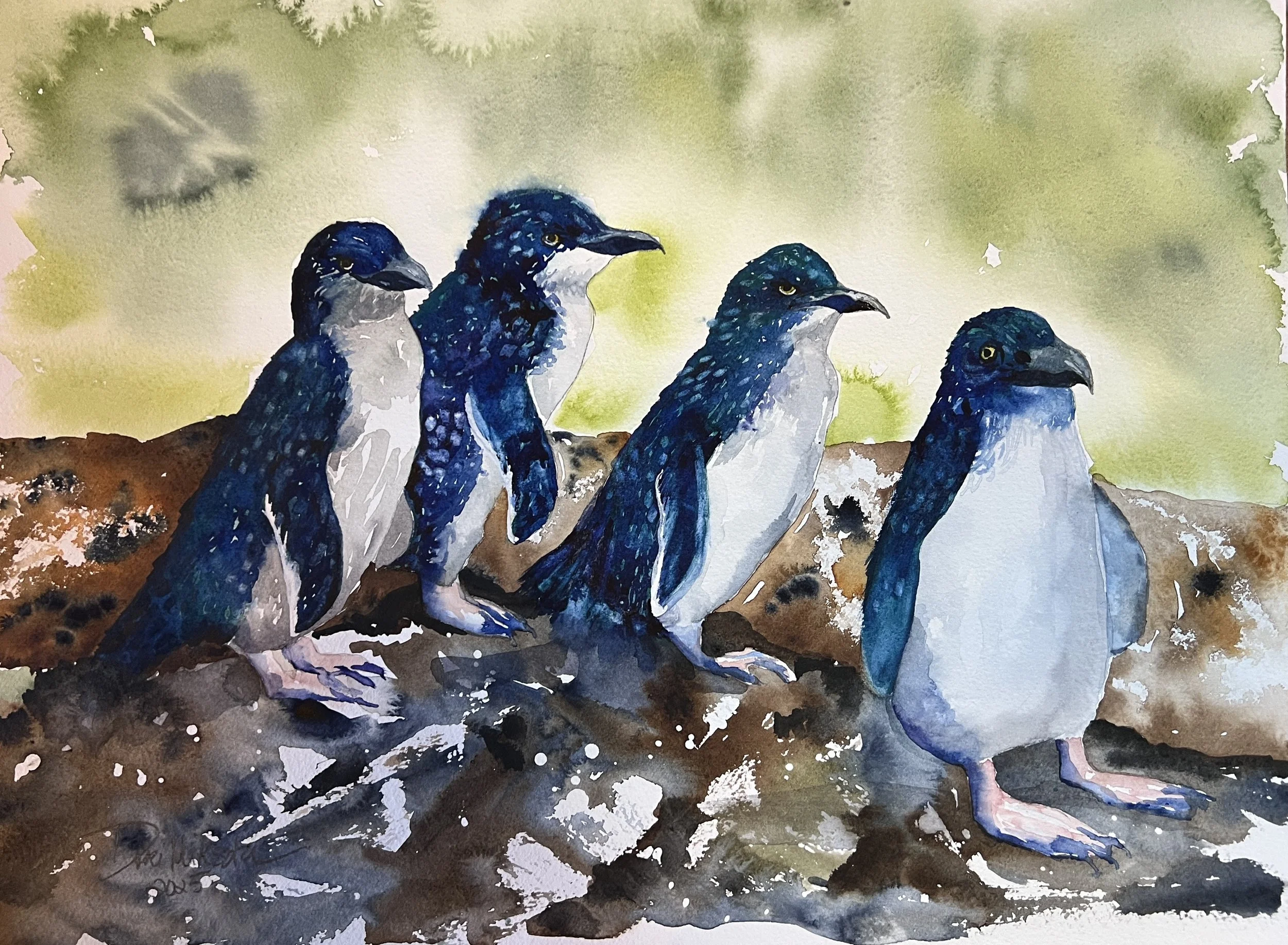 Blue Penguins