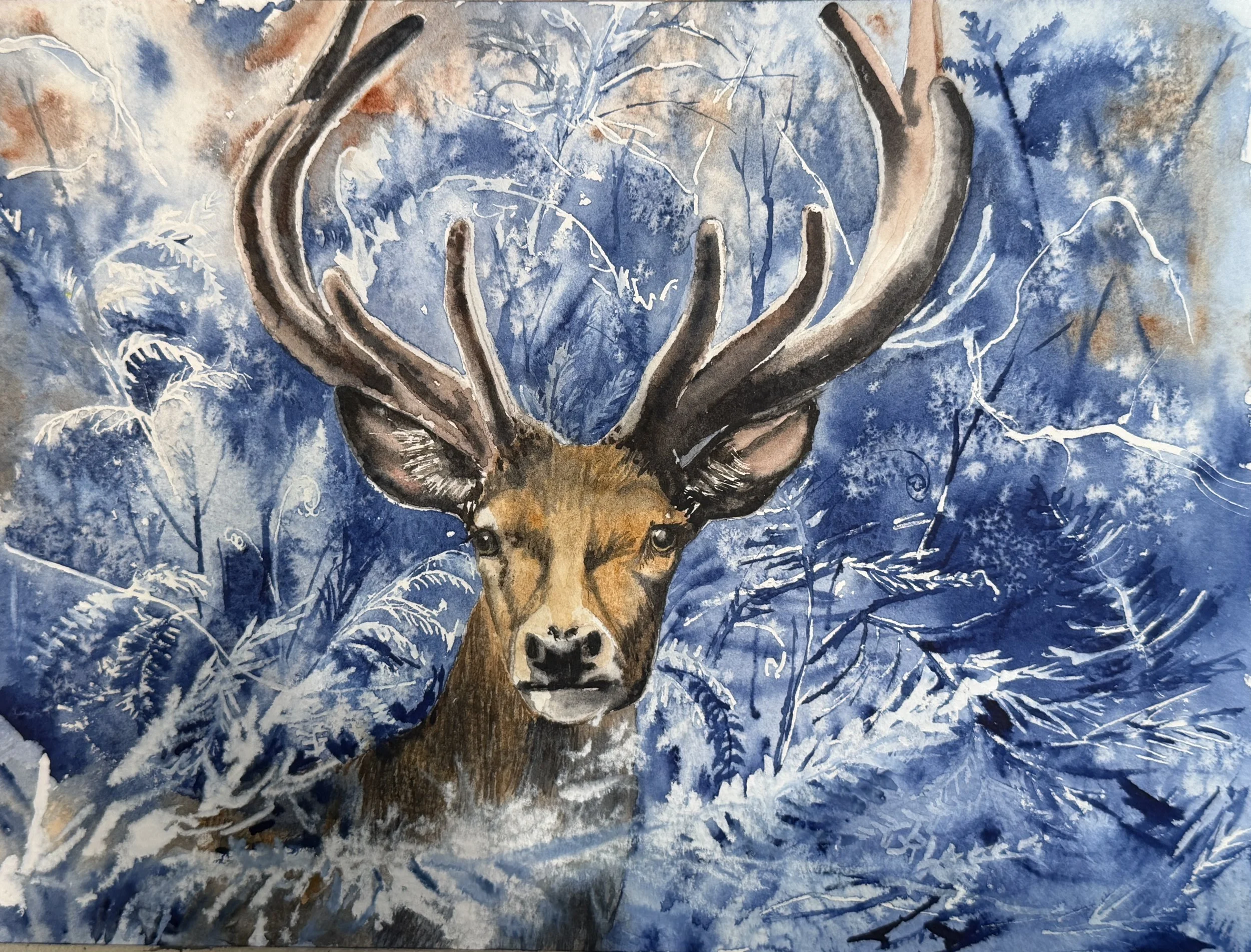 Enchanted Elk