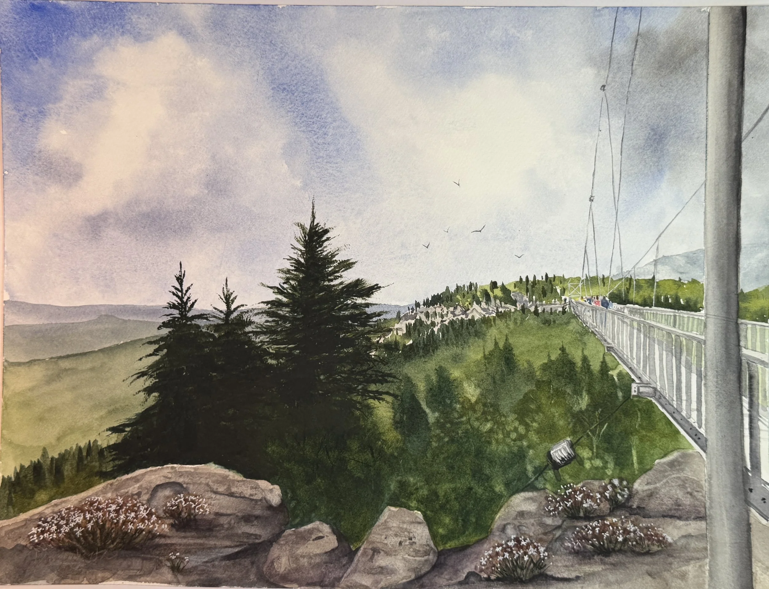 Swing that Bridge (Grandfather Mountain)
