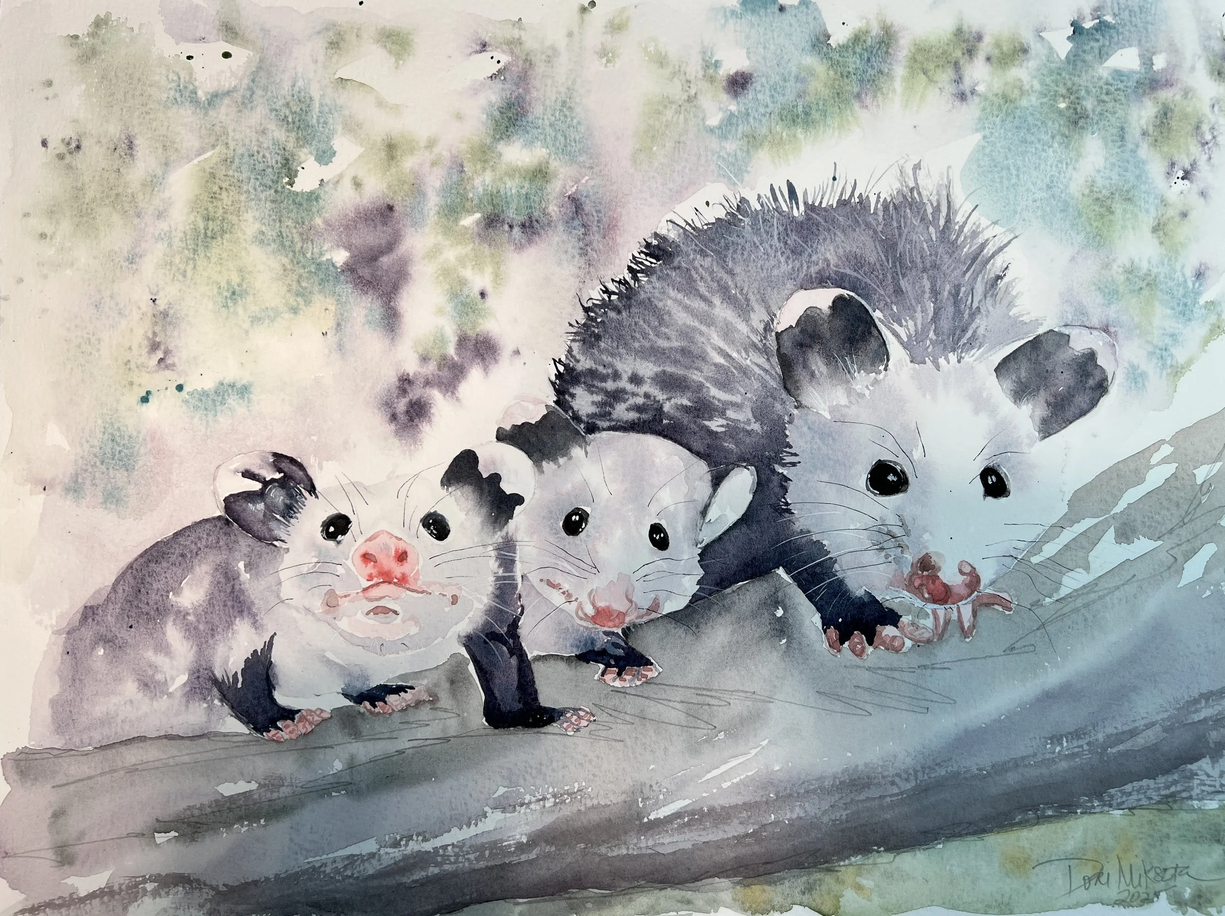 Possums