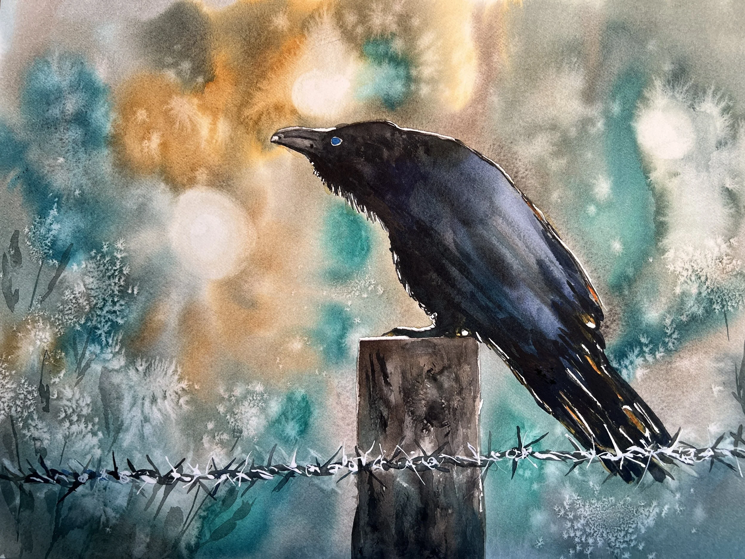 Old Crow