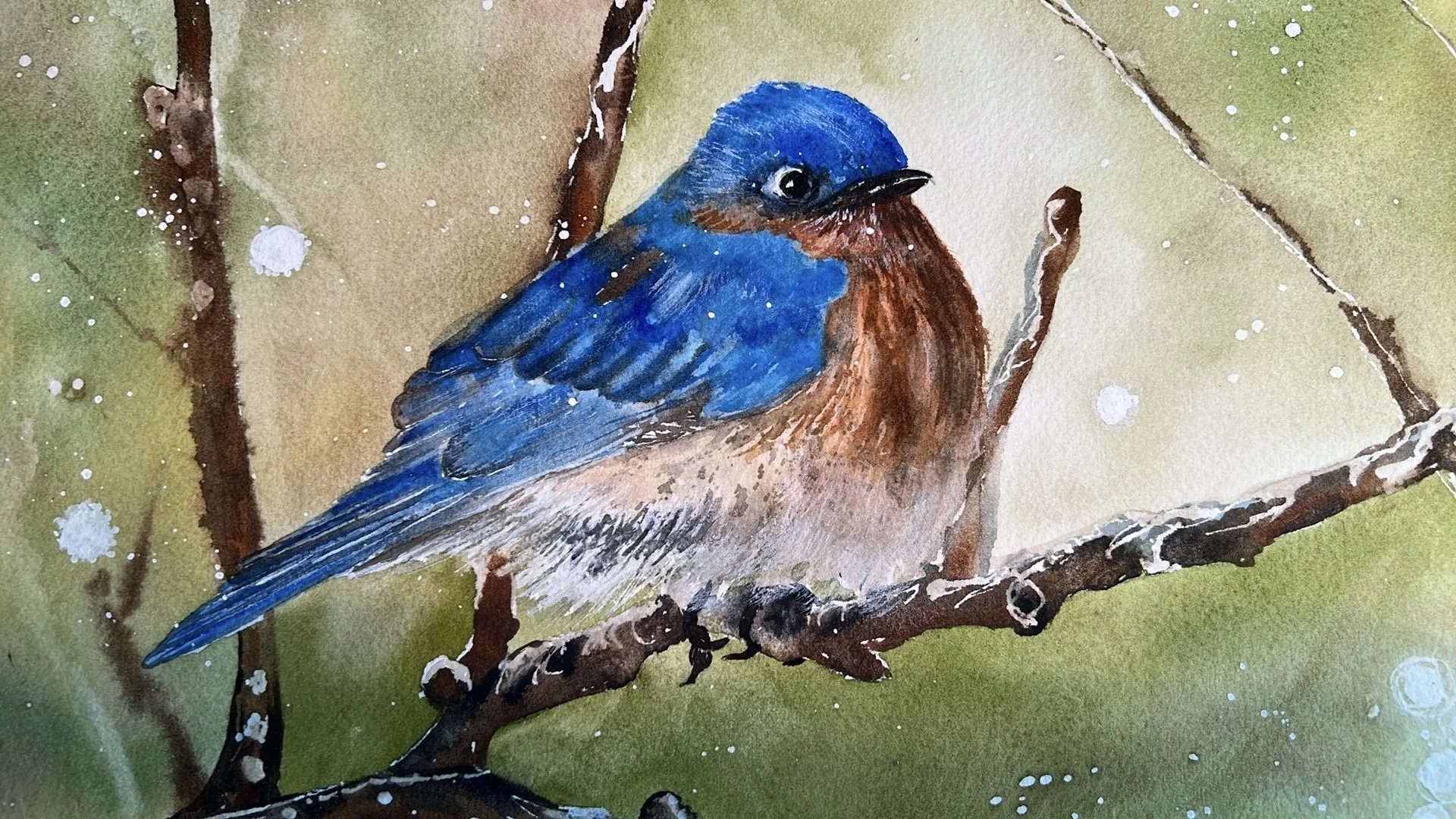 Snowbird