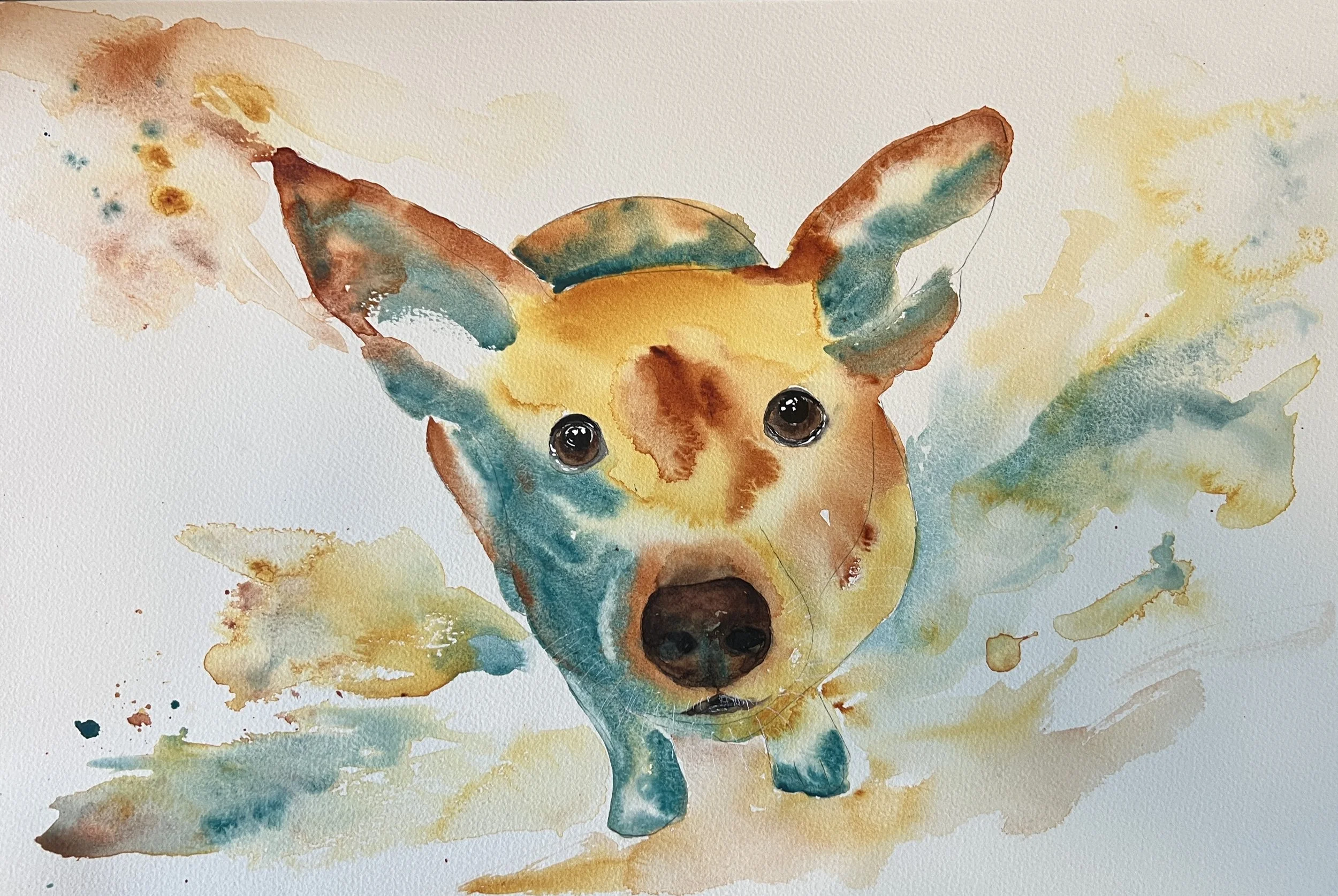 Chancho, My Muse