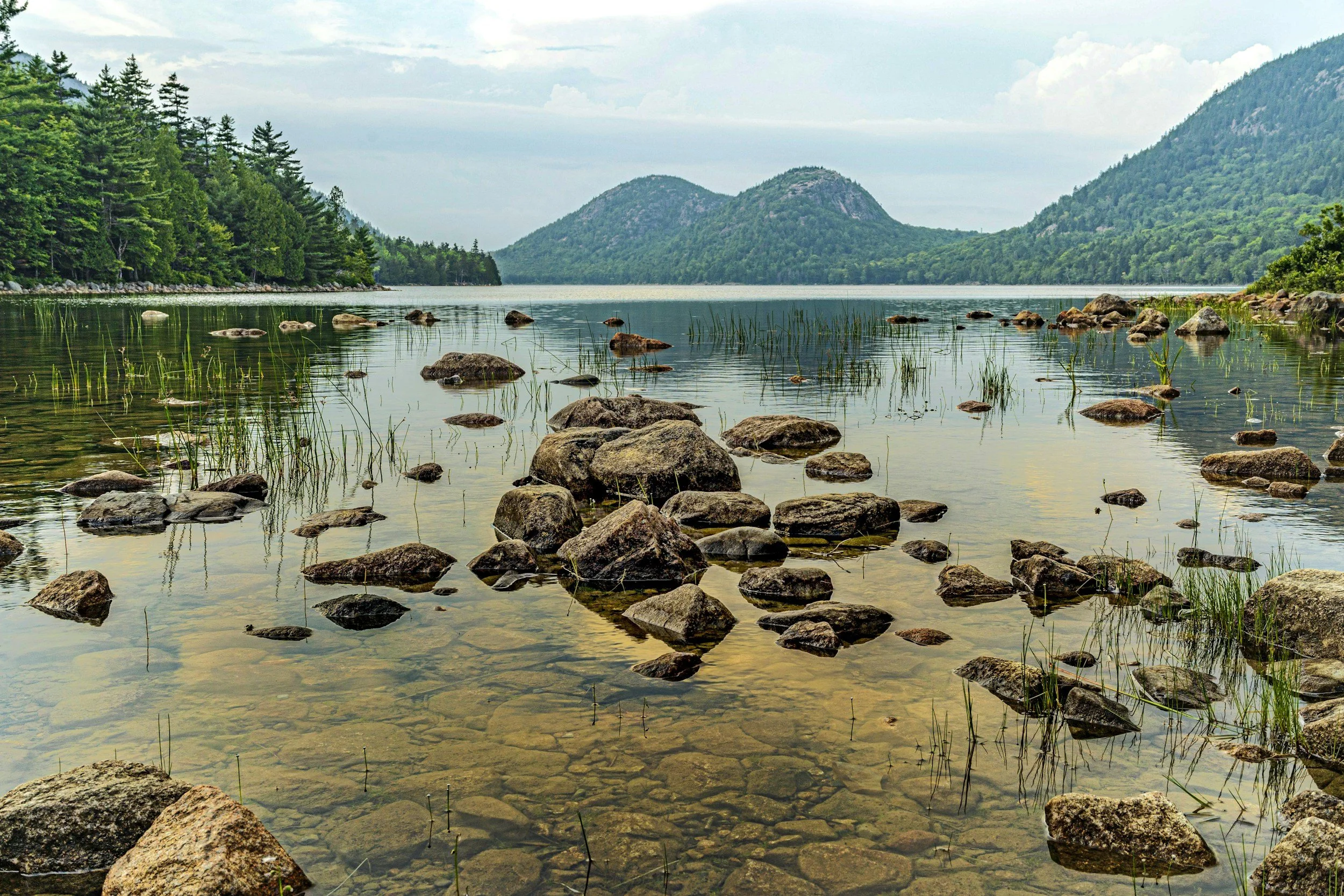 A calm lake with clear water, rocky shoreline, green grass, lush trees on the left side, and forested mountains in the background under a partly cloudy sky.