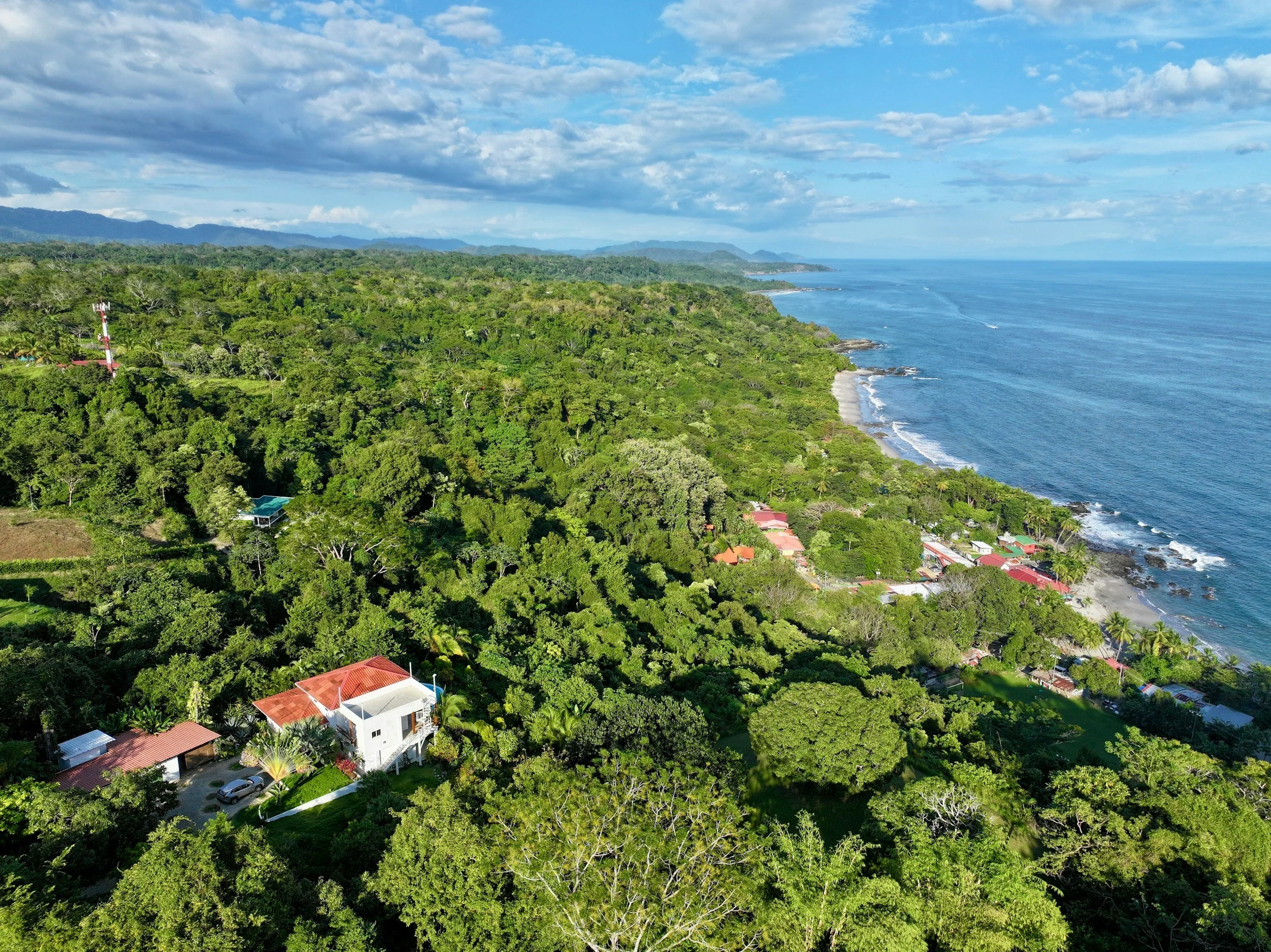 Aerial view of a lush green coastline with trees, houses, and a sandy beach, adjacent to the blue ocean with waves, under a partly cloudy sky.