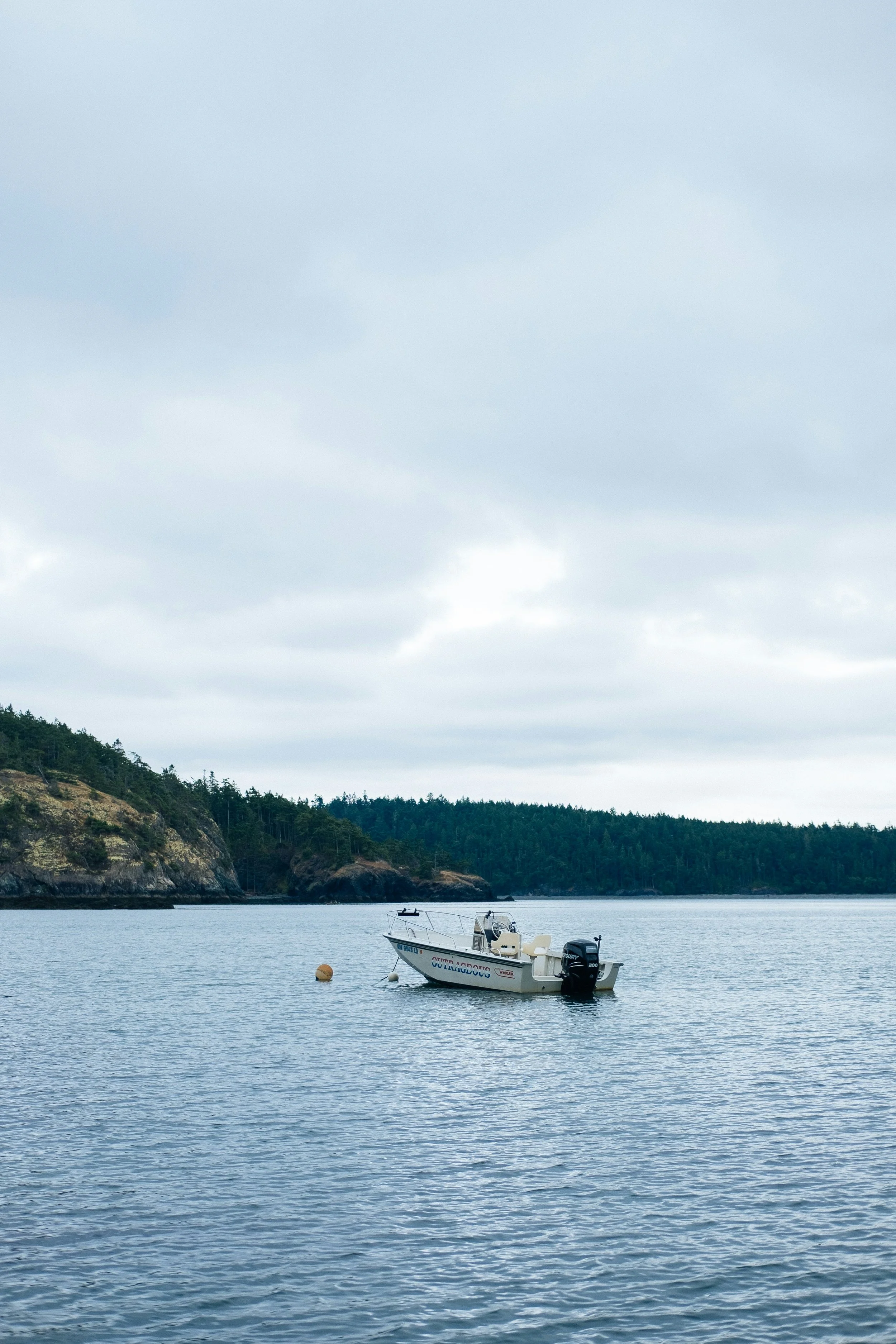 A boat floating in calm water near a forested coastline, under a cloudy sky.