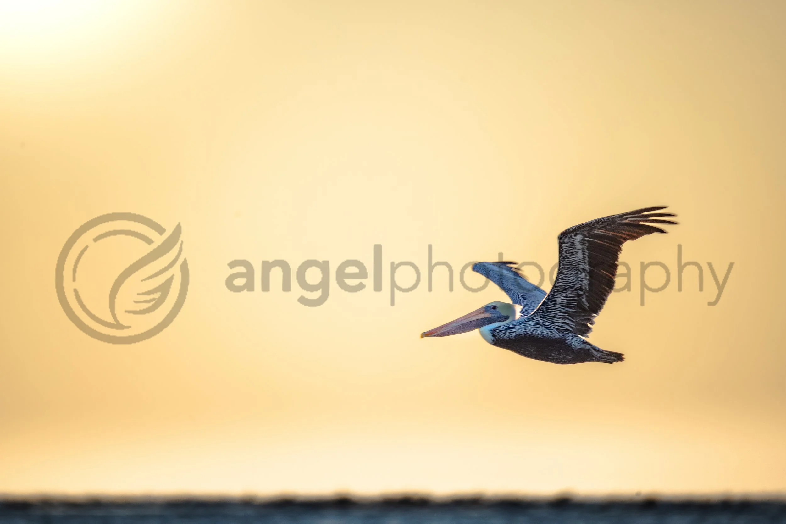 ANGELPHOTOGRAPHY-172.jpg