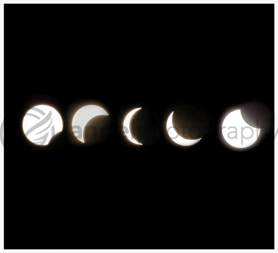 "Choreography of Shadows: A Solar Eclipse in Five Movements"  (DIGITAL COPY)