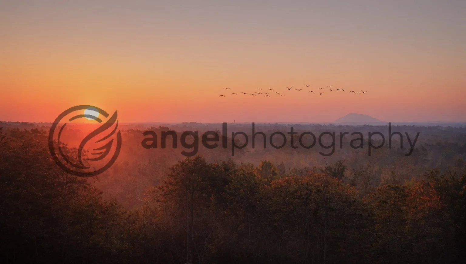 ANGELPHOTOGRAPHY-388.jpg
