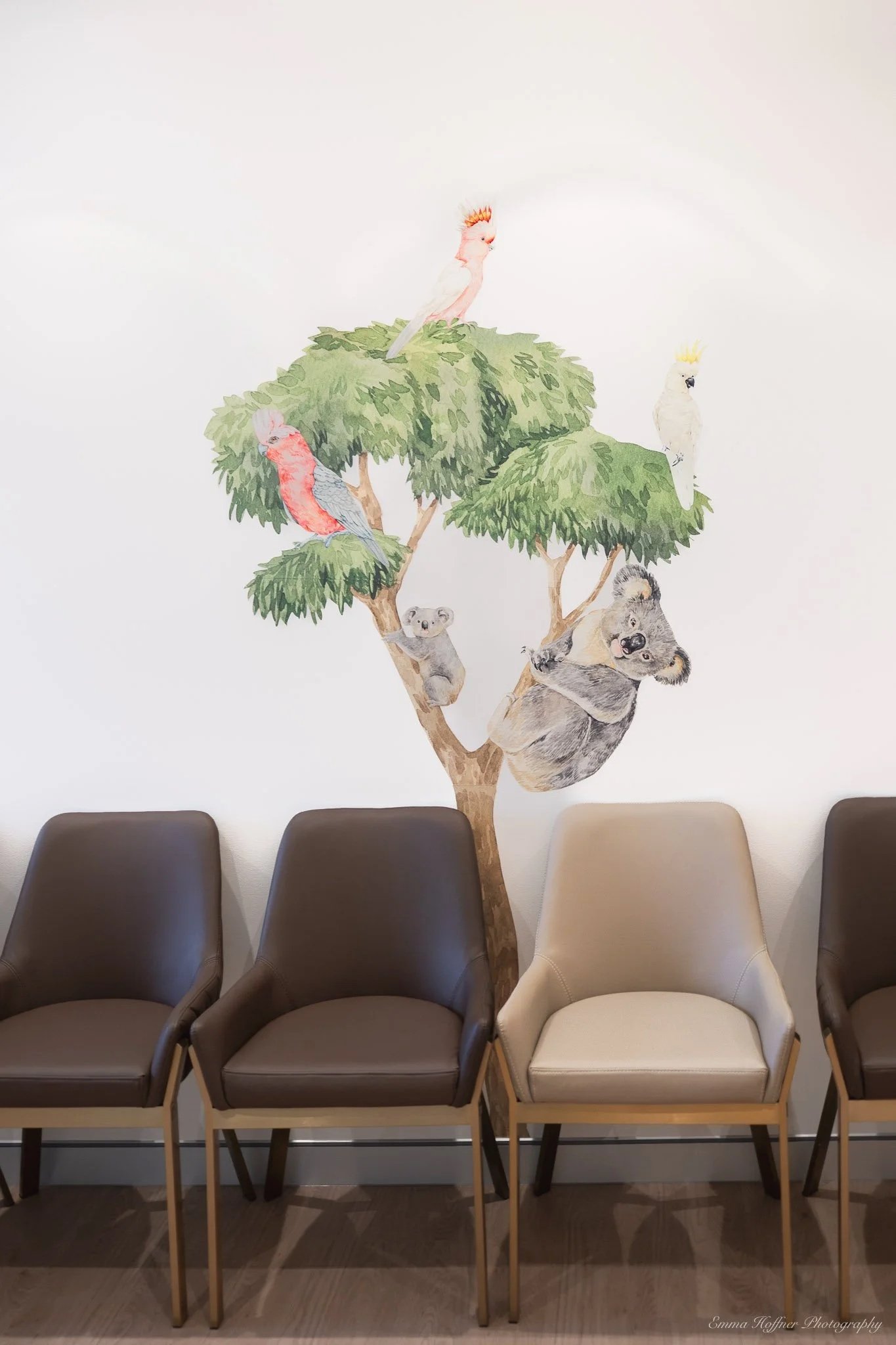 Picture of the waiting room at Your Paediatrician in Bella Vista, Sydney. Chairs with a drawing of a tree hosting Australian animals on the wall.