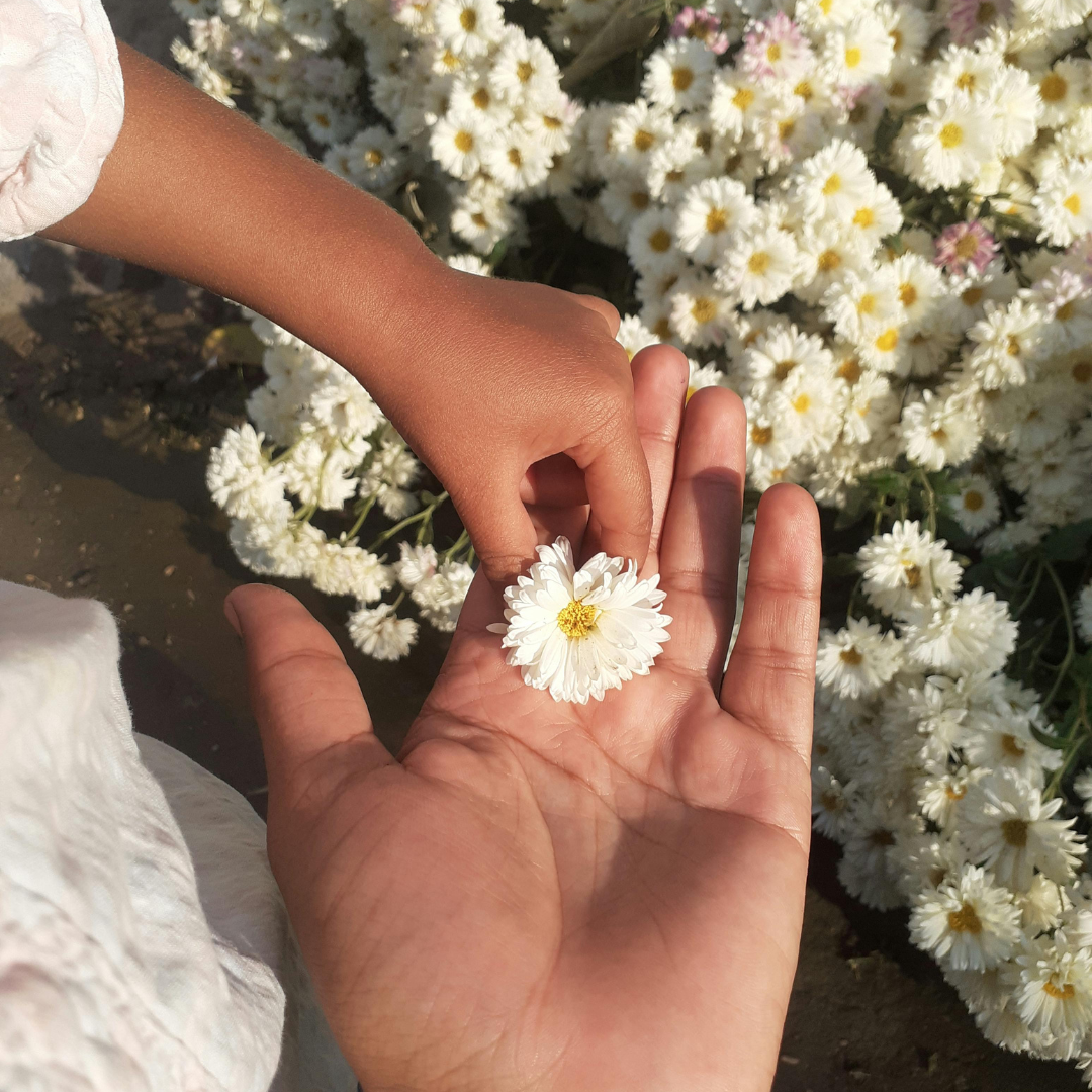 Design sans titre (9).png