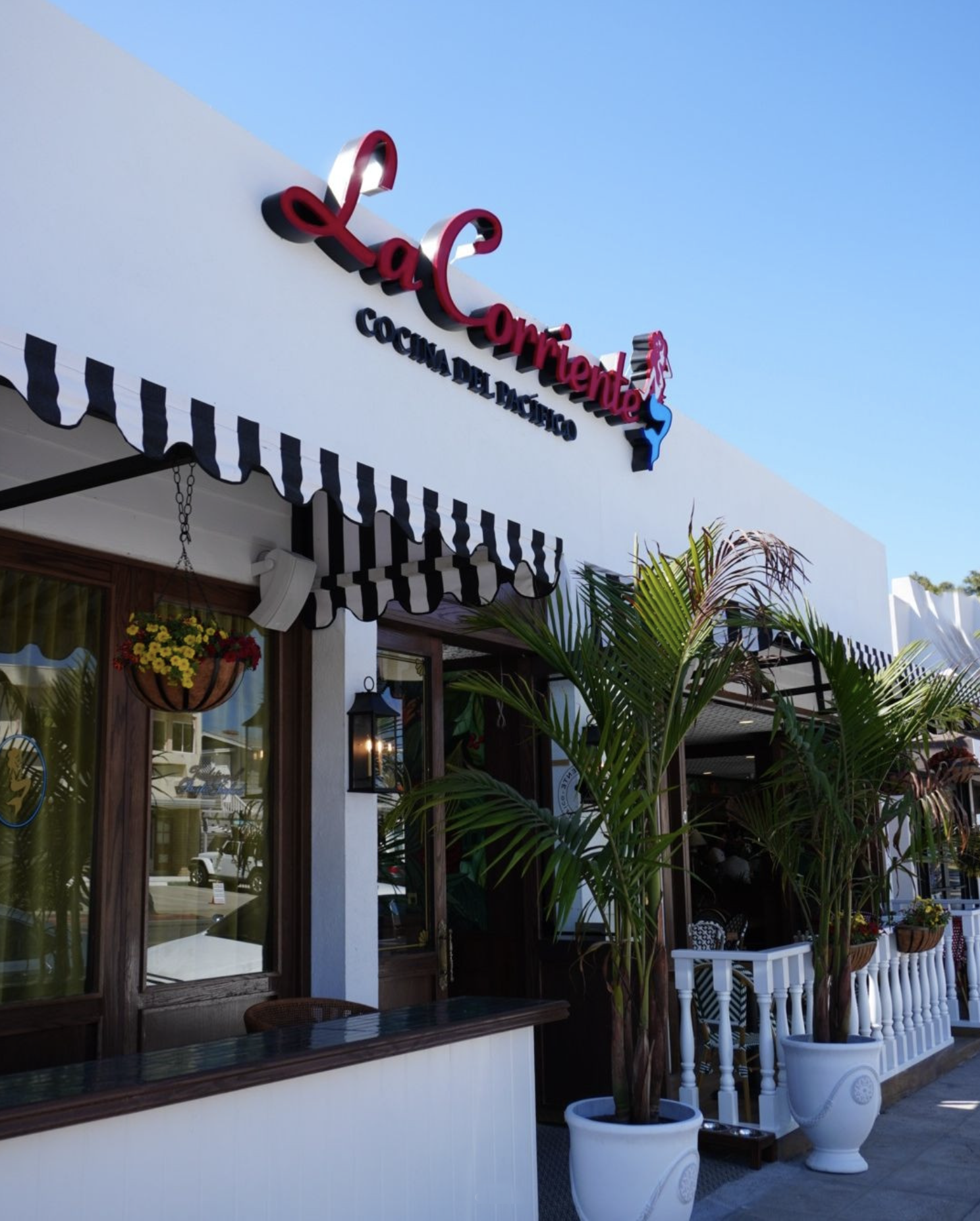 Screen Shot 2026-01-26 at 9.57.14 AM.png