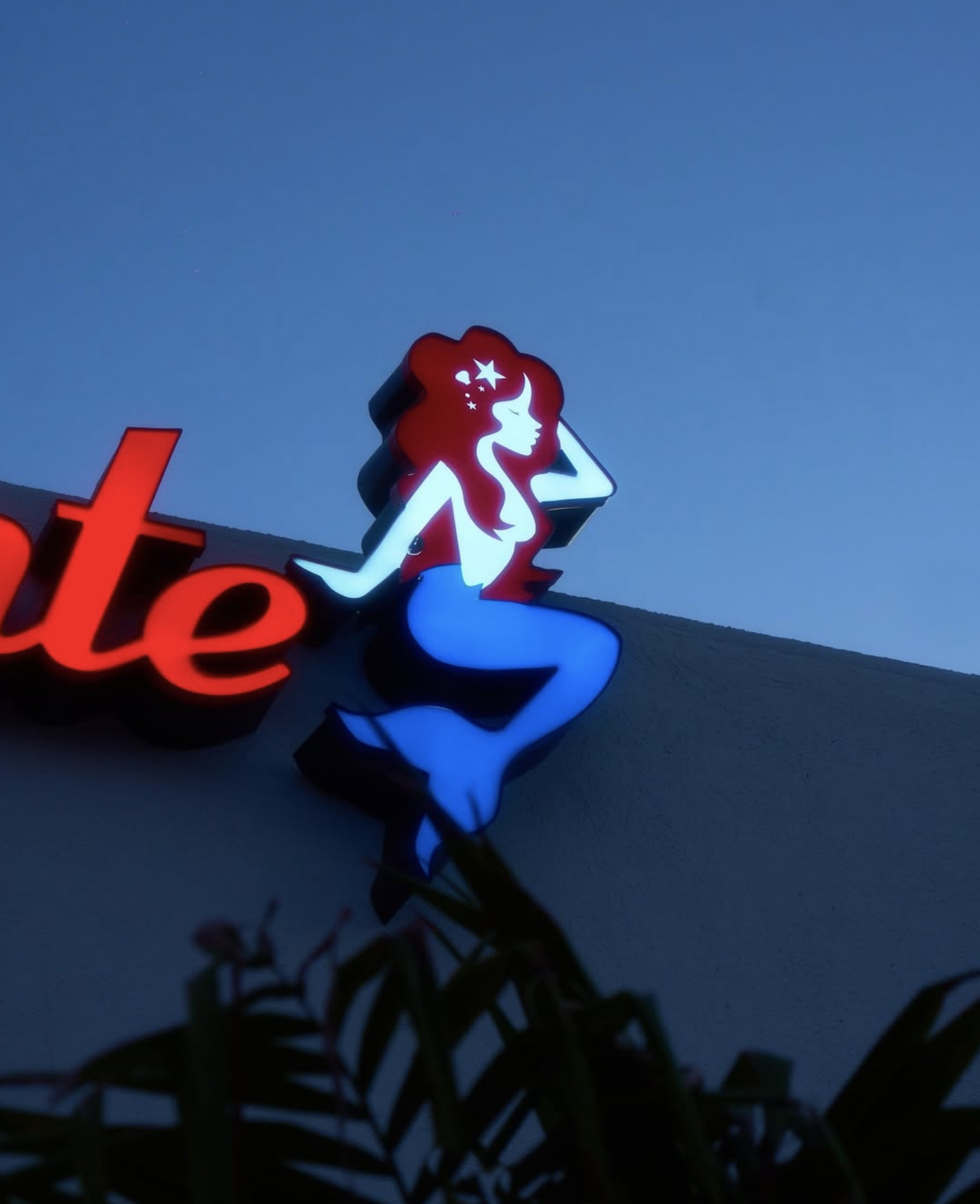 Screen Shot 2026-01-26 at 10.06.09 AM.png