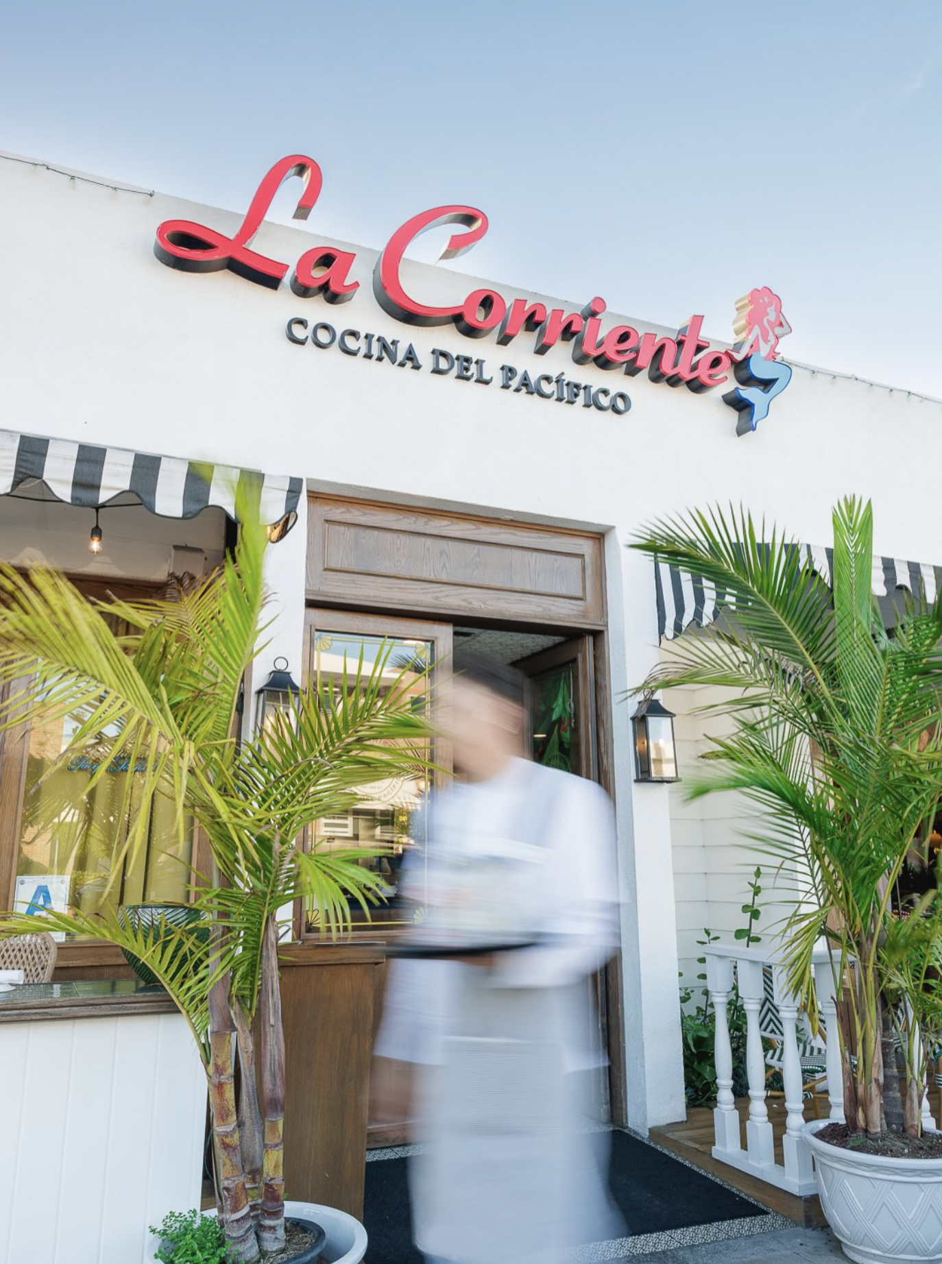 Screen Shot 2026-01-26 at 9.50.08 AM.png