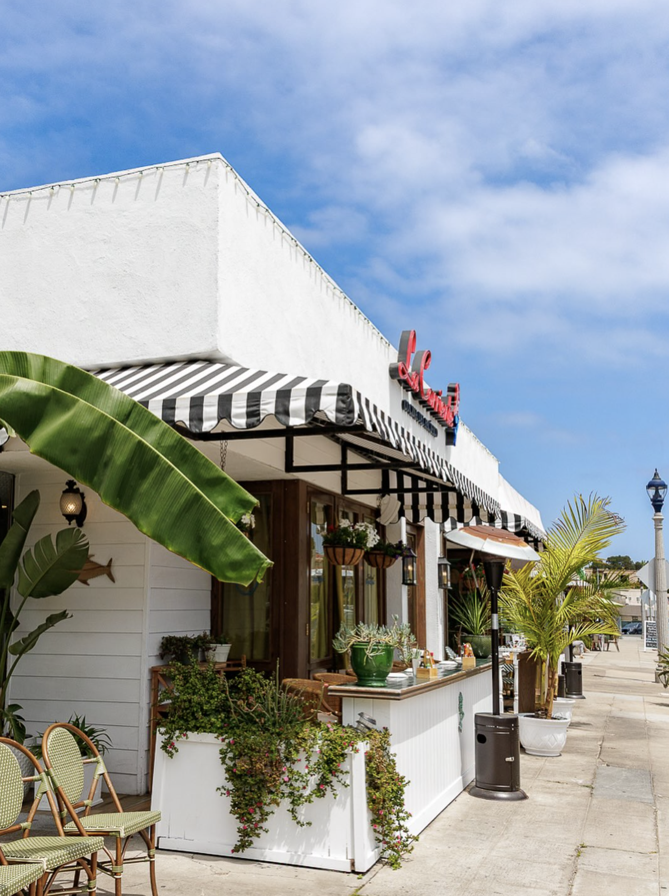 Screen Shot 2026-01-26 at 9.52.35 AM.png