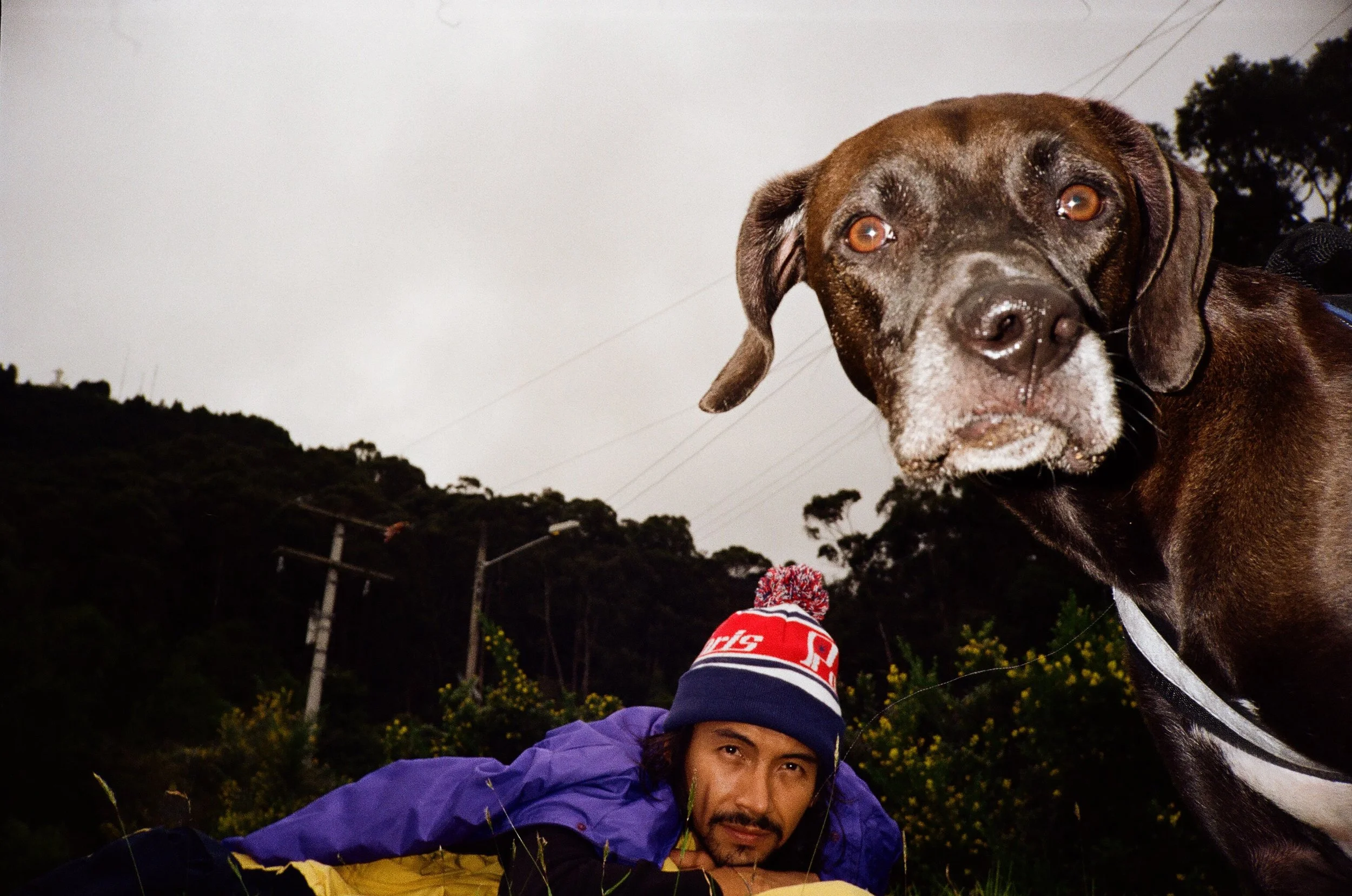 A man lying on the ground wearing a purple jacket and a red, white, and blue beanie, with a large brown dog with floppy ears and a white patch on its snout in the foreground.