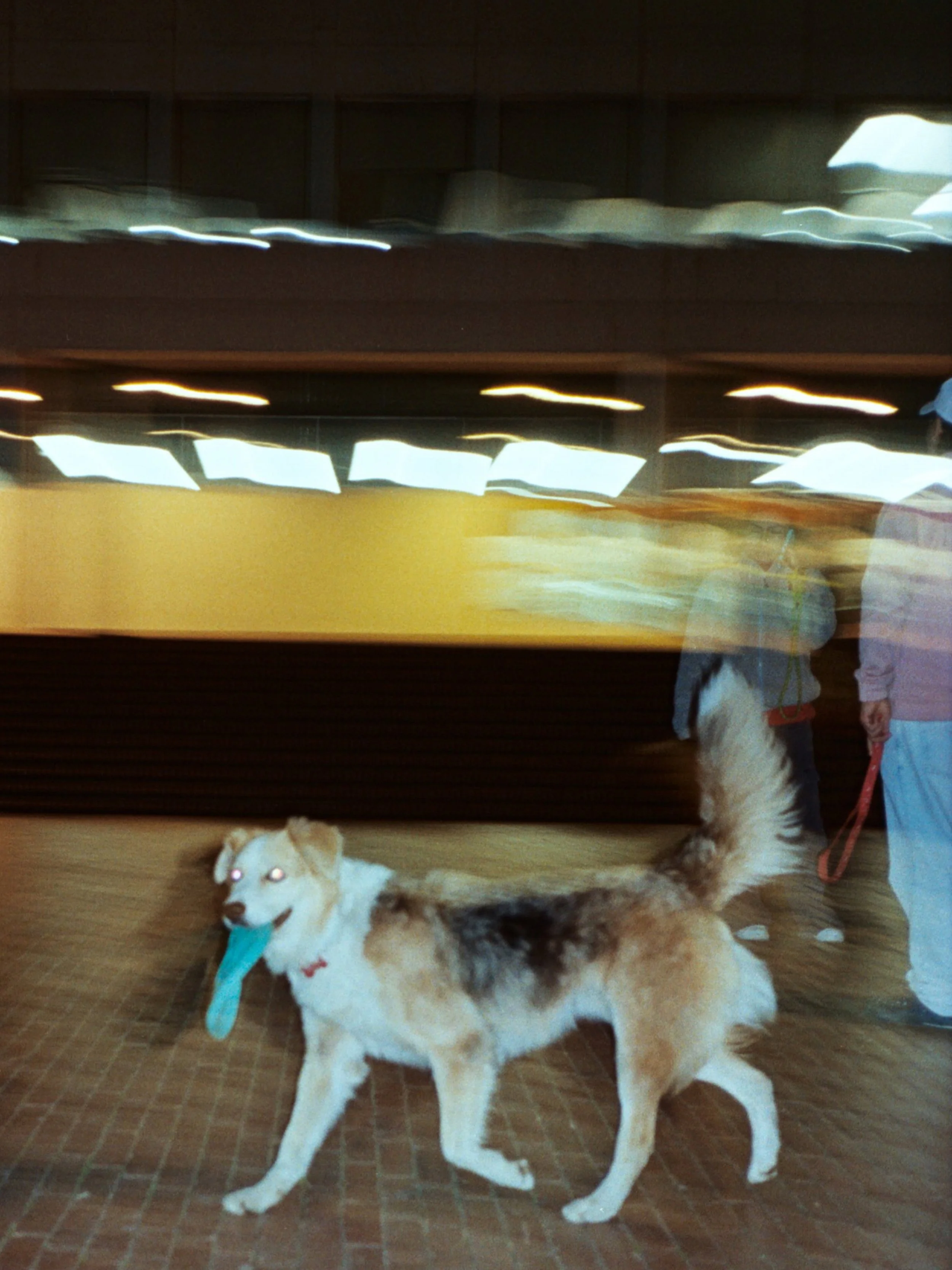 42889E77-004C-4B76-BB2E-07084023FE44.jpeg