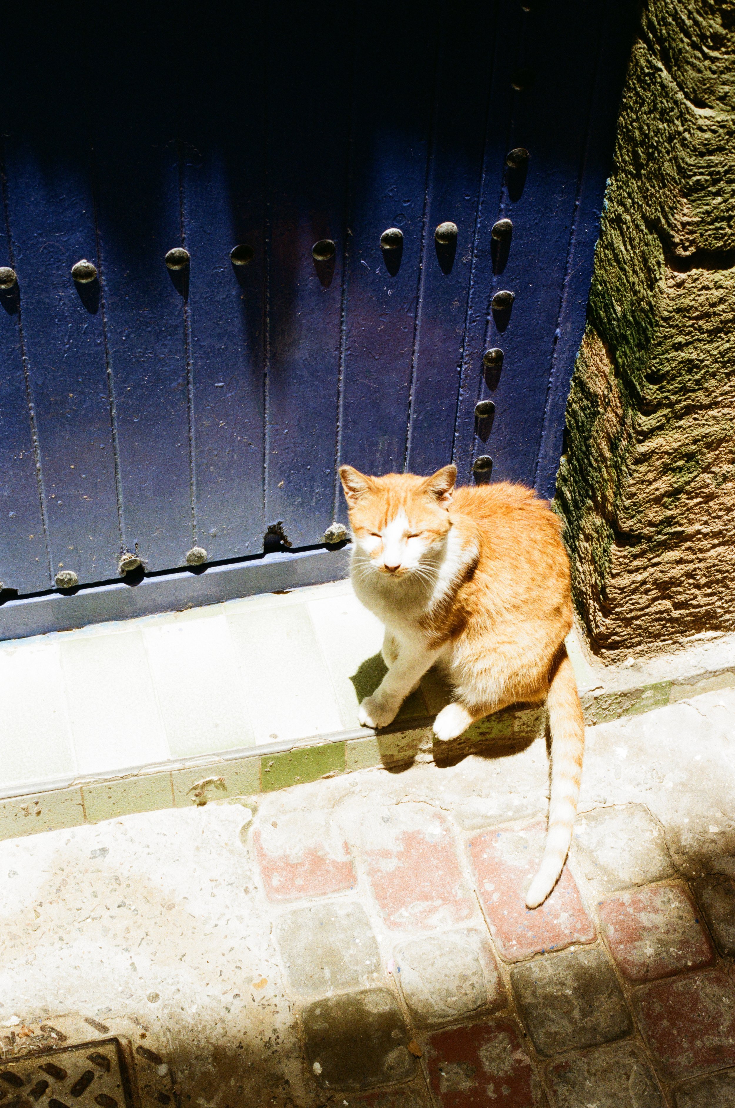 35mm - 1 of 1 (11).jpeg