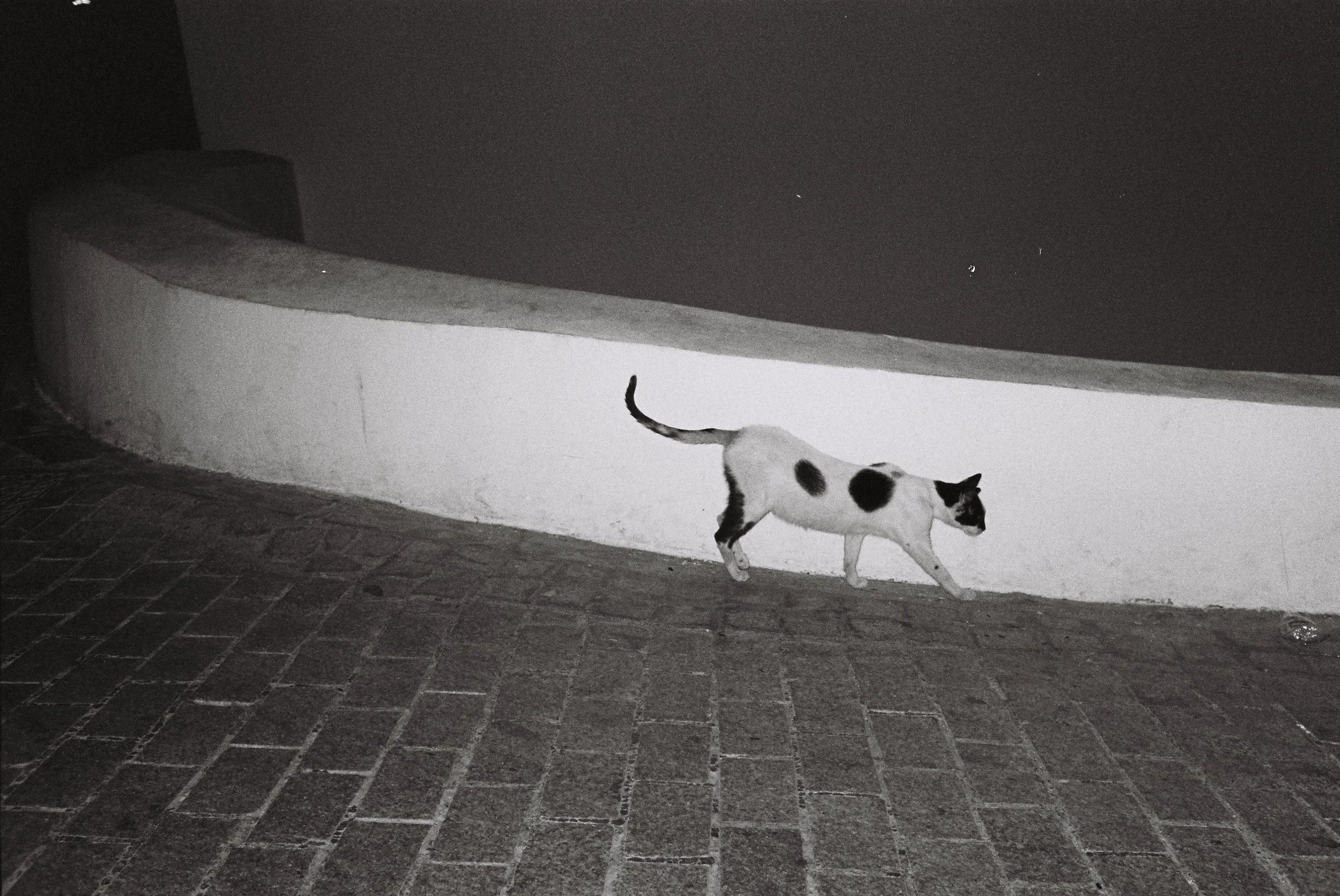 35mm - 1 of 1 (7).jpeg