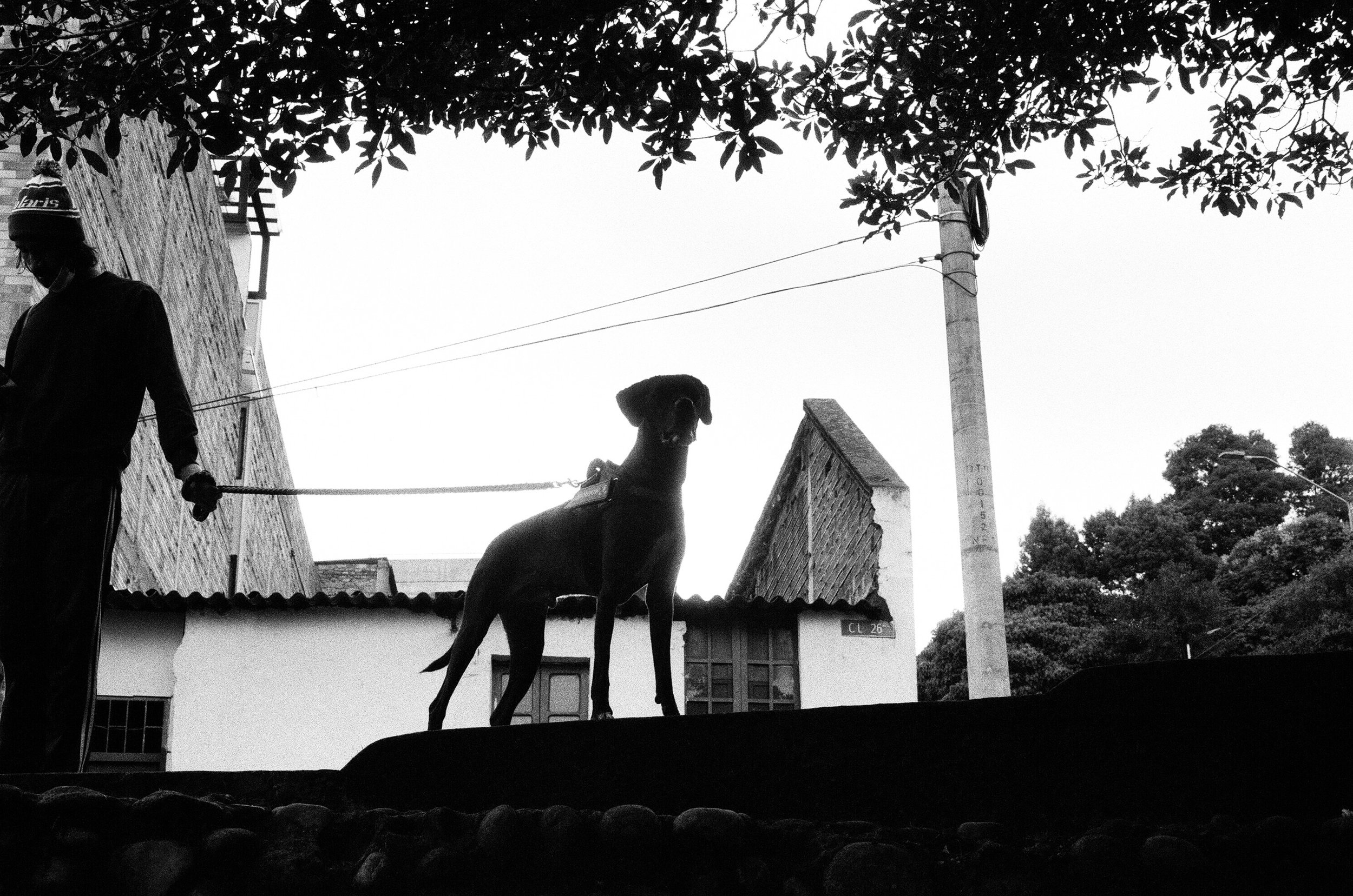 35mm - 1 of 1 (1) 47.jpeg