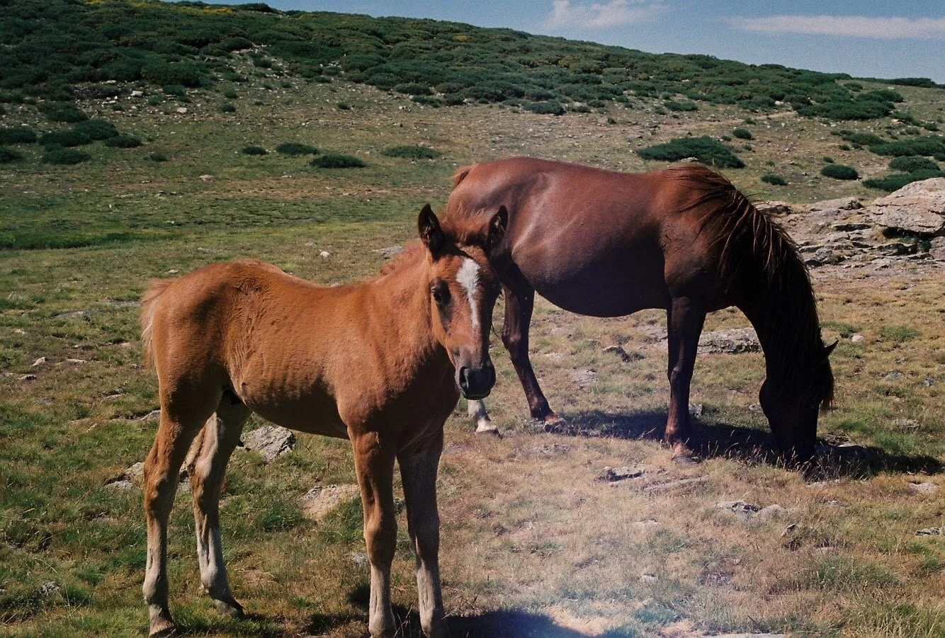 35mm - 1 of 1 (1) 33.jpeg