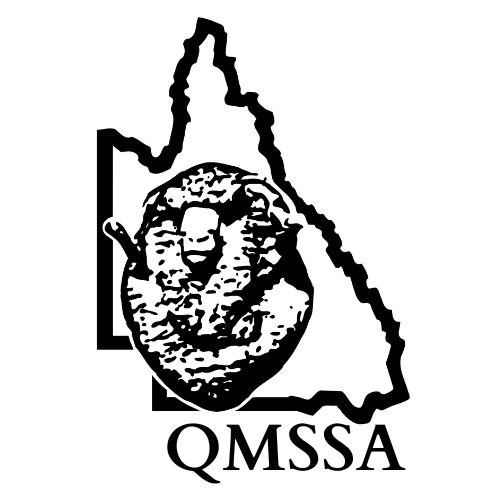 Black and white logo of Georgia with an outline of the state, a bear claw, and a bear head, with the acronym QNMSSA beneath.