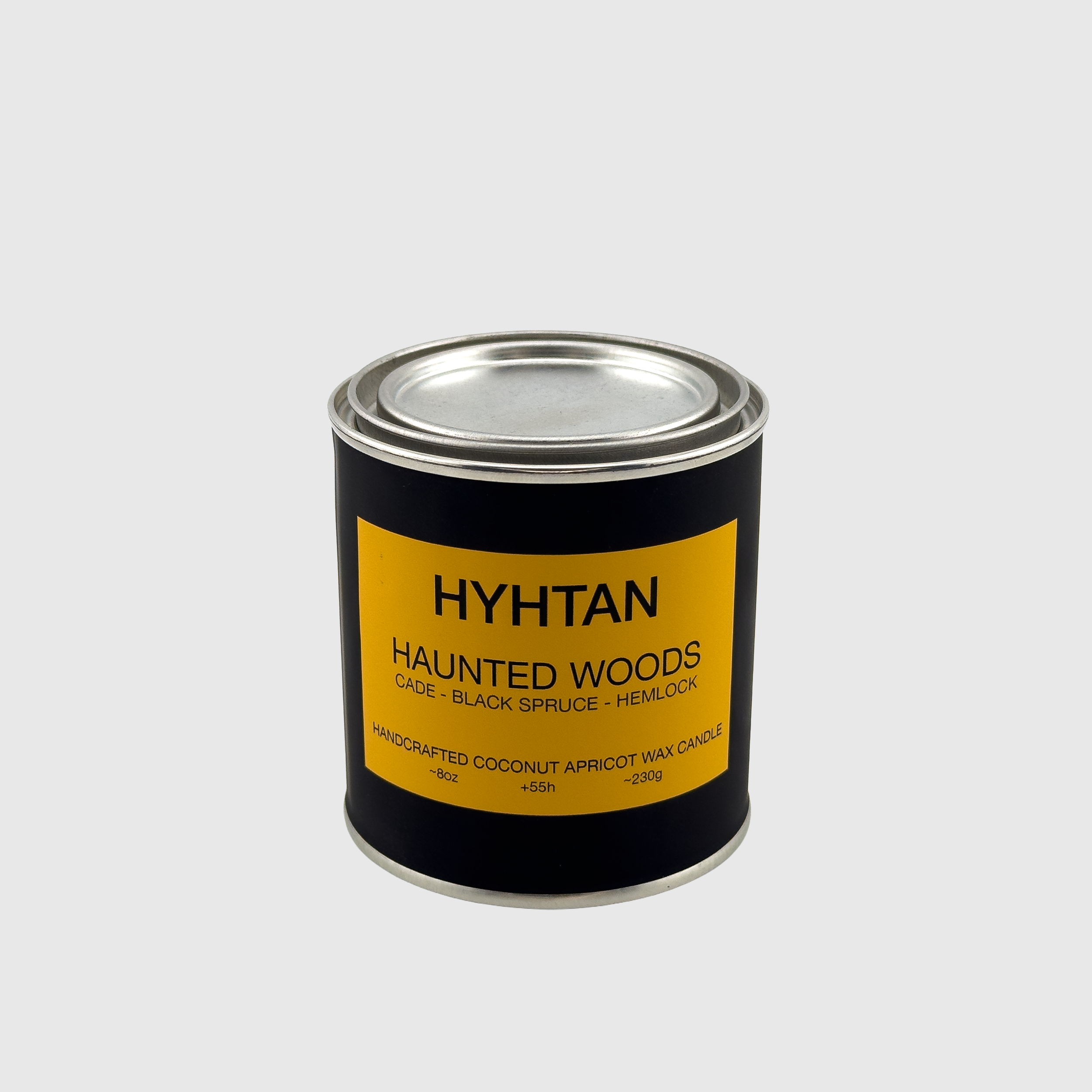 Haunted Woods coconut apricot wax candle
