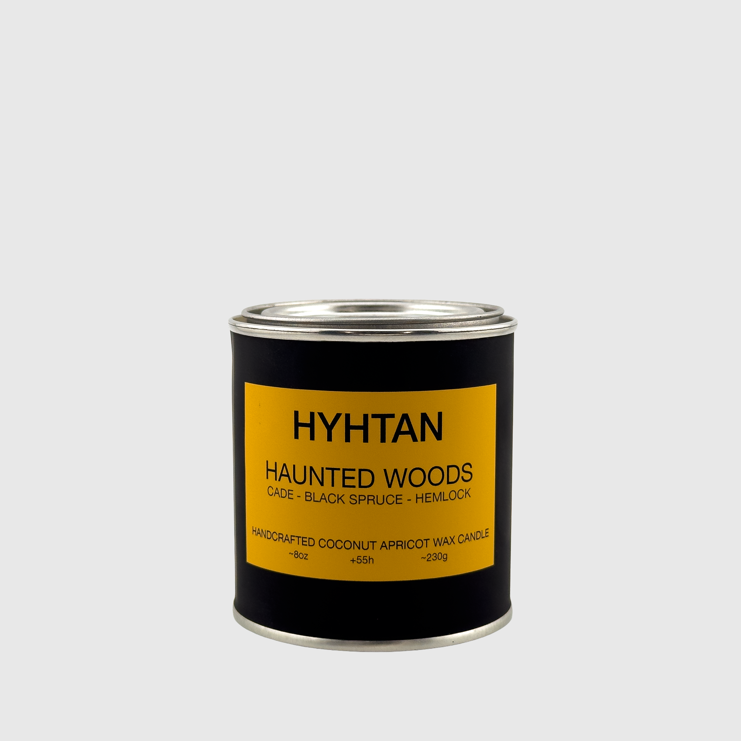 Haunted Woods coconut apricot wax candle