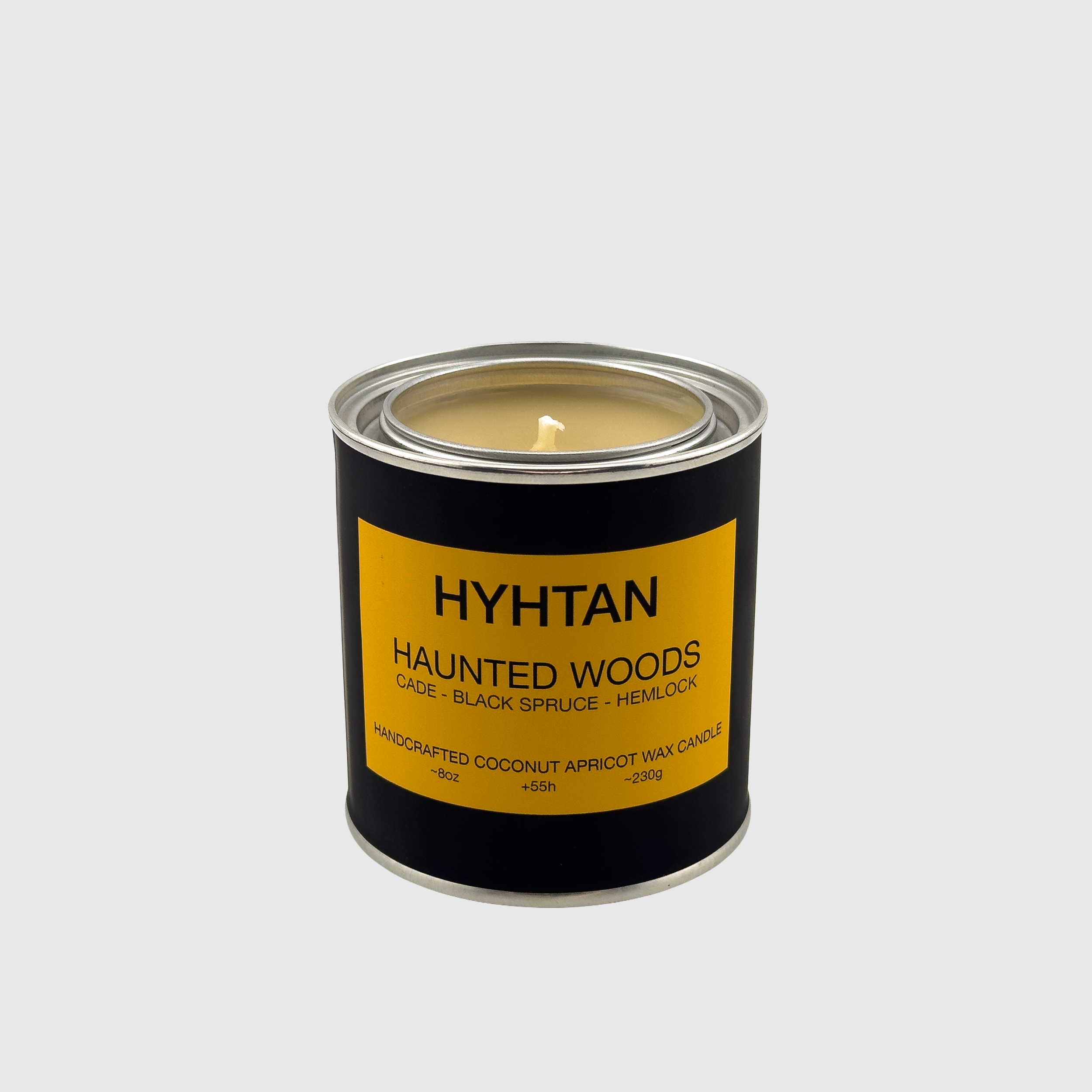 Haunted Woods coconut apricot wax candle