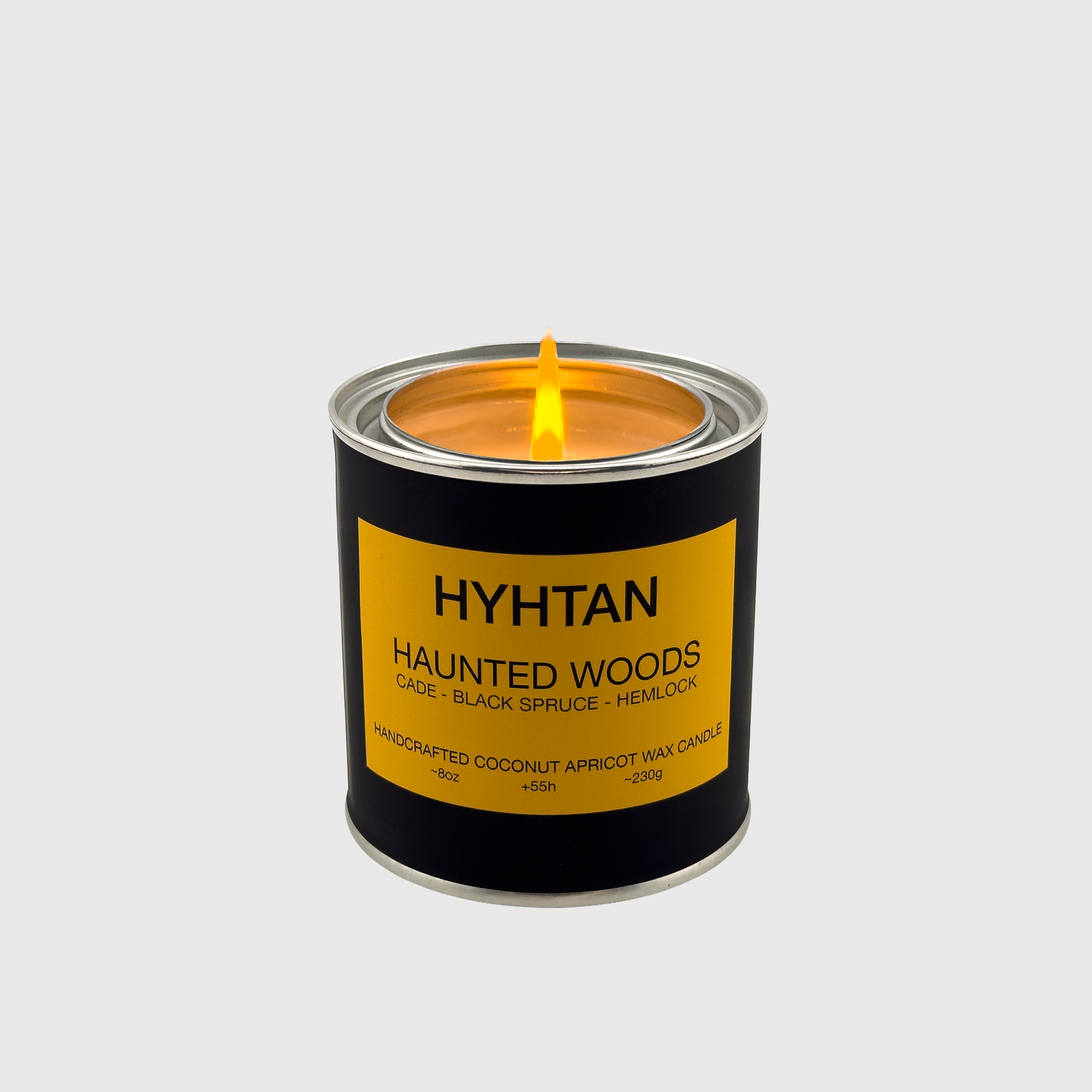 Haunted Woods coconut apricot wax candle
