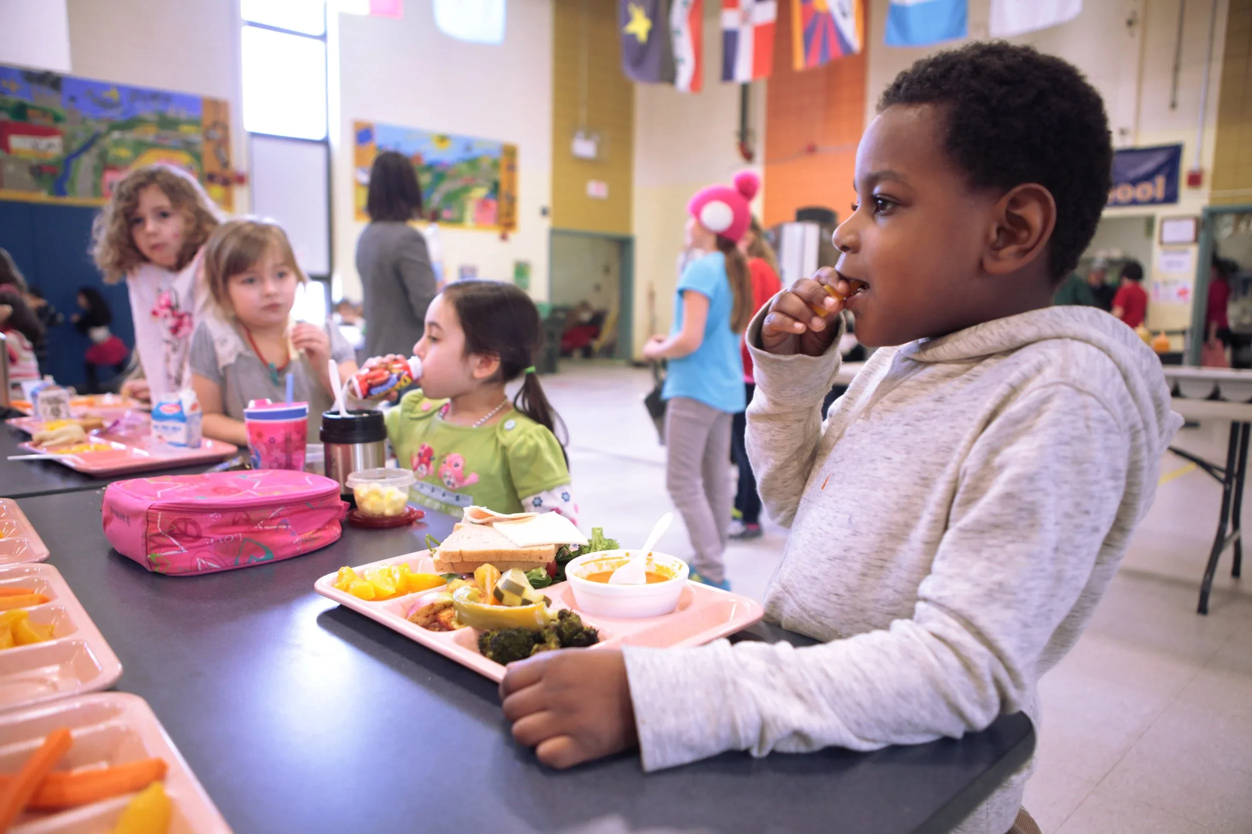 The Power of Numbers: What the Data Reveals About School Lunch Debt