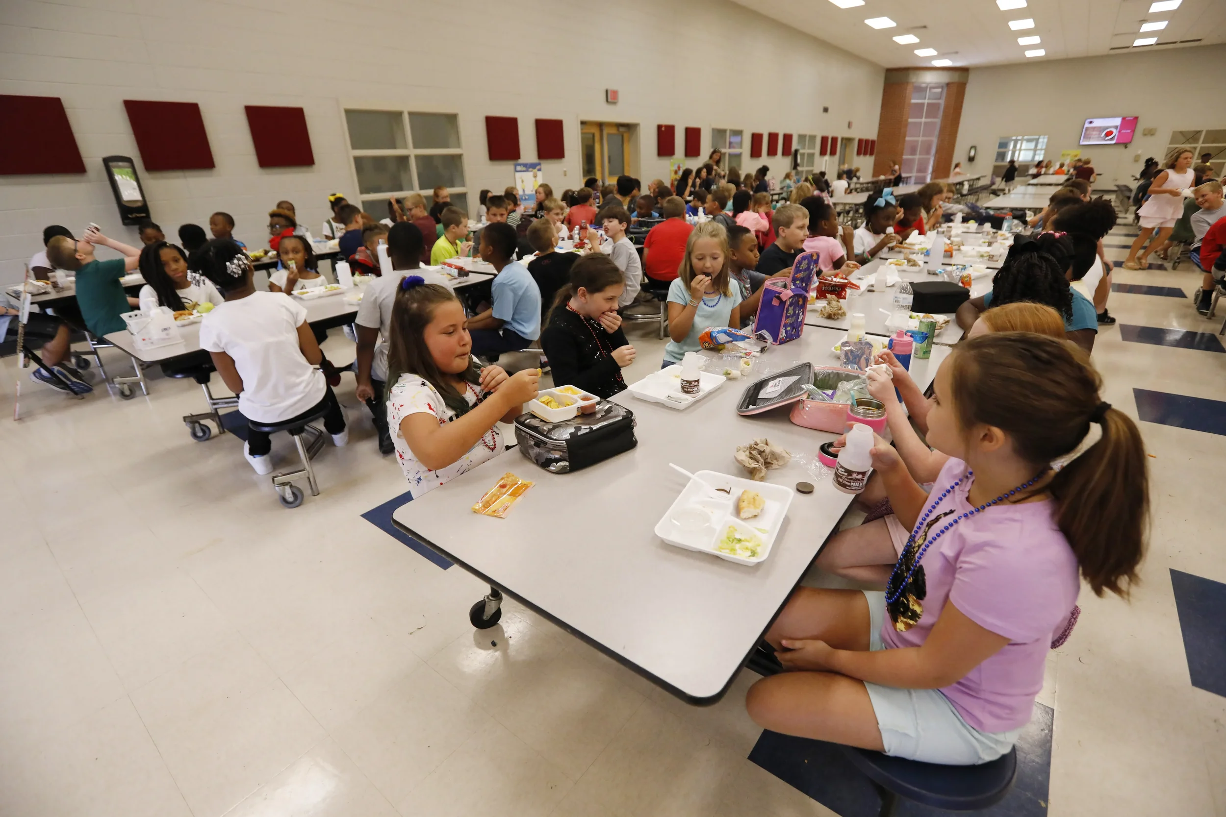 Florida School Lunch Debt: The Hidden Gap Affecting Working Families