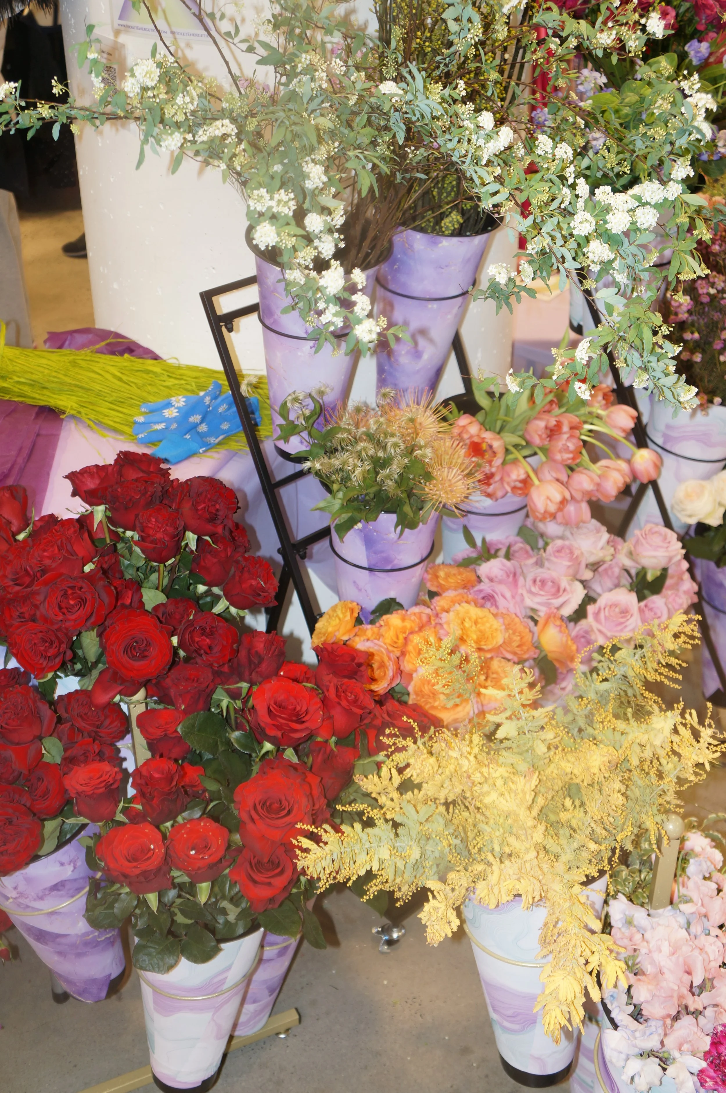 DSC08875.JPG