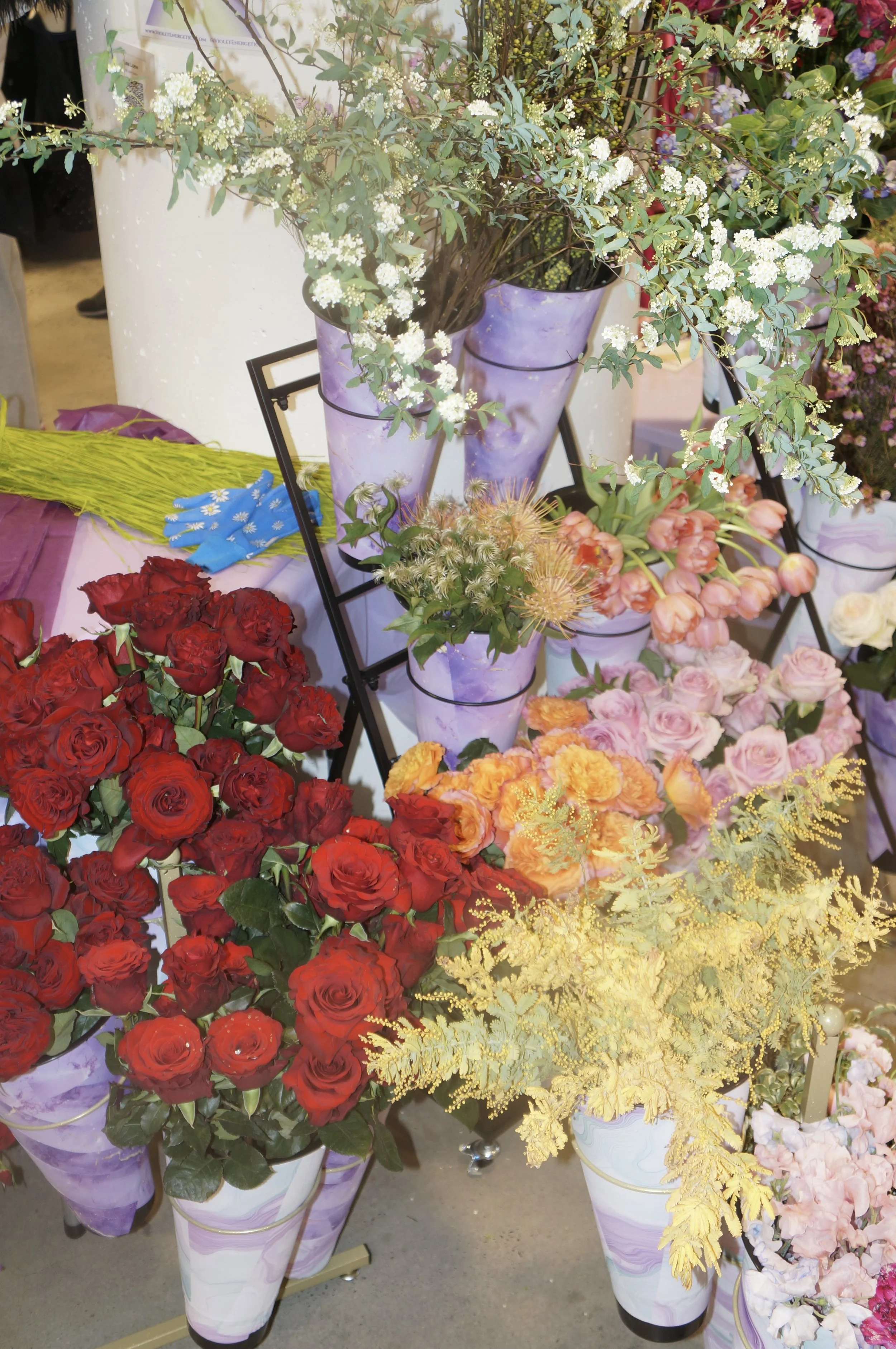 DSC08875.jpg
