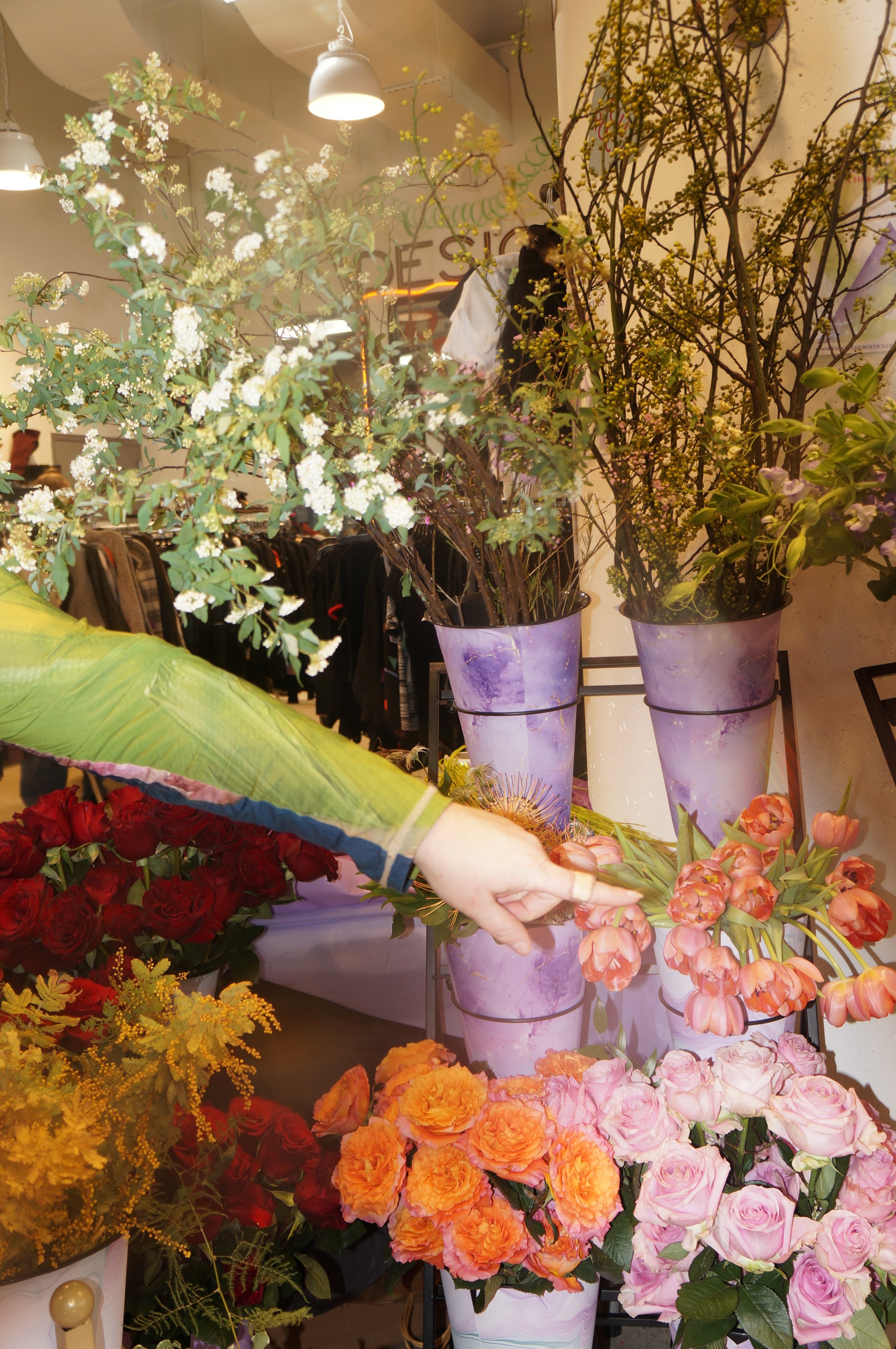 DSC08879.JPG